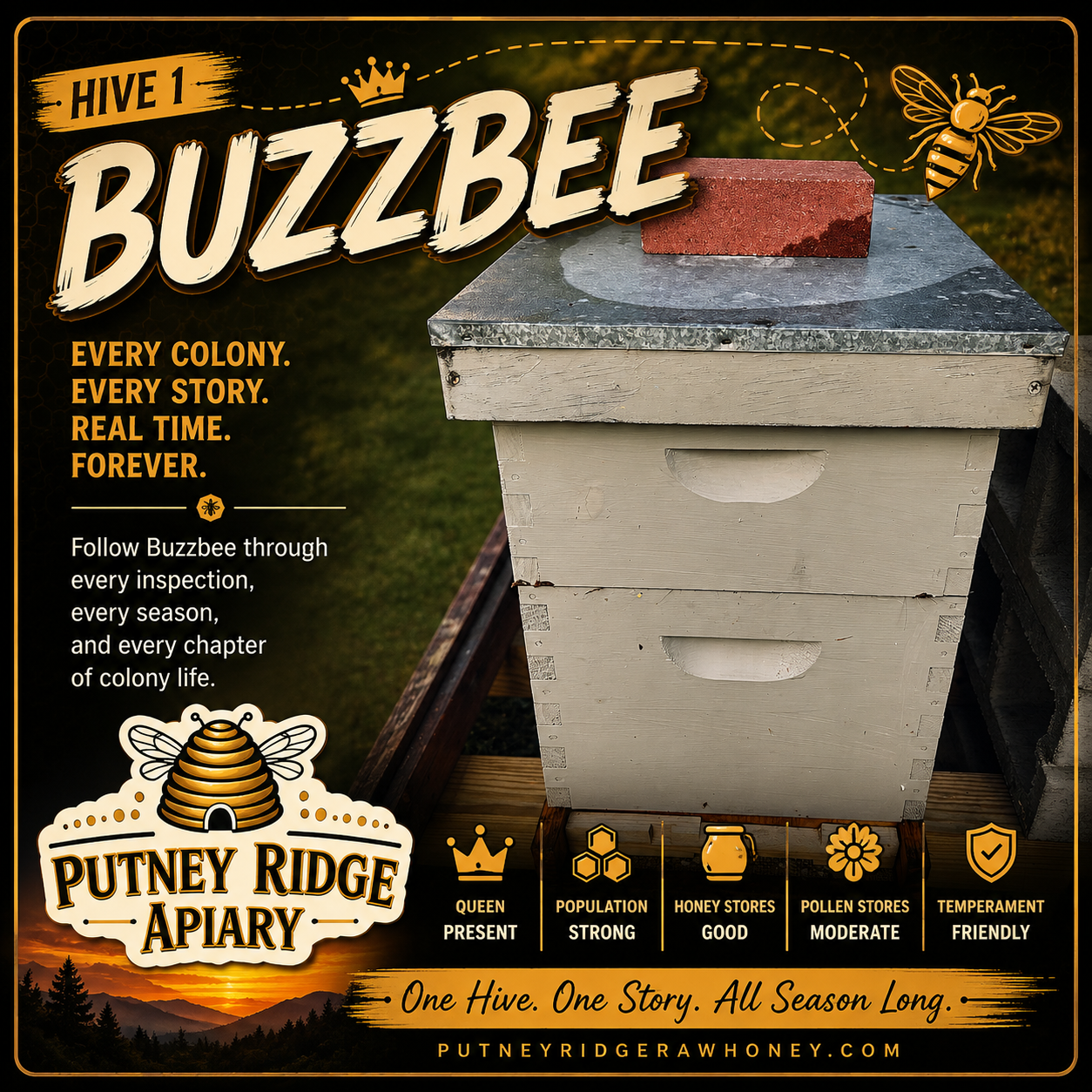 Hive 1.png