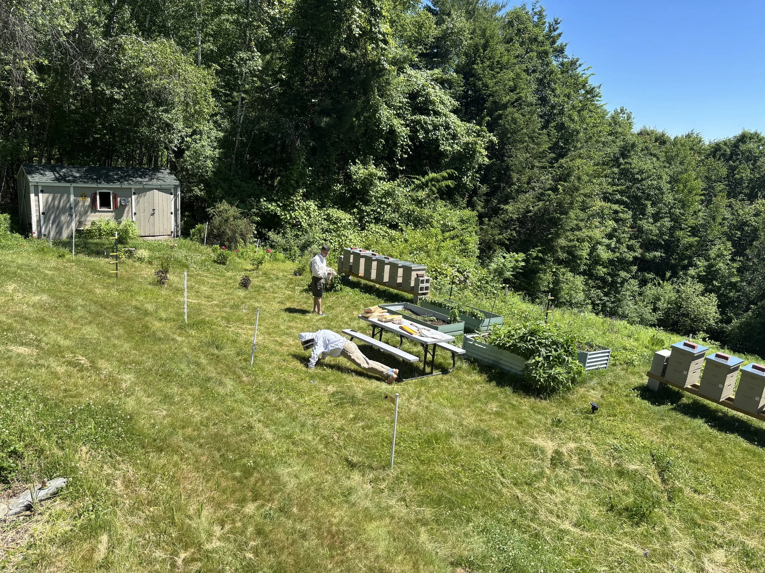 Reece getting in one final pushup before reporting for duty. The bees were unimpressed and immediately assigned additional tasks.