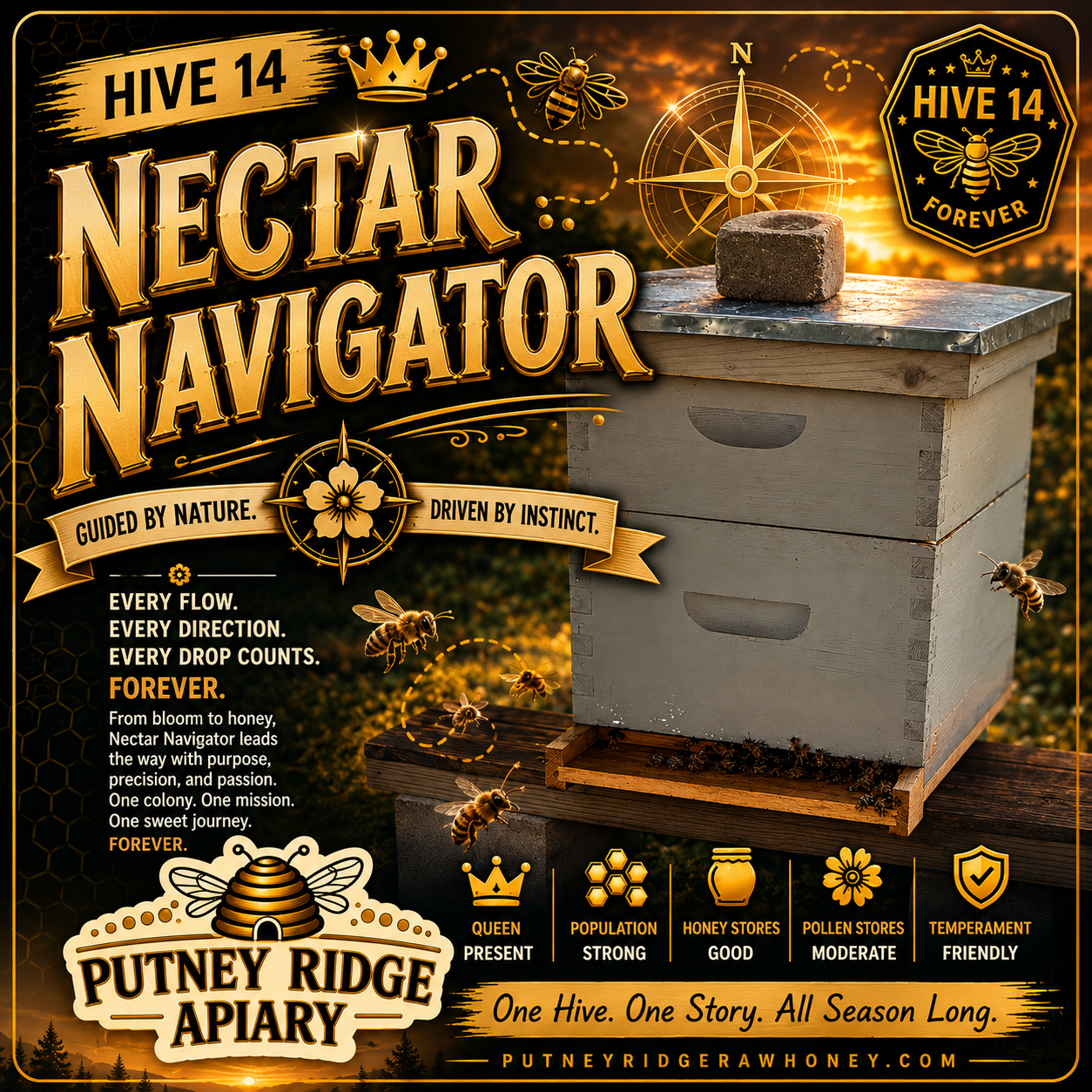 Hive 14.png