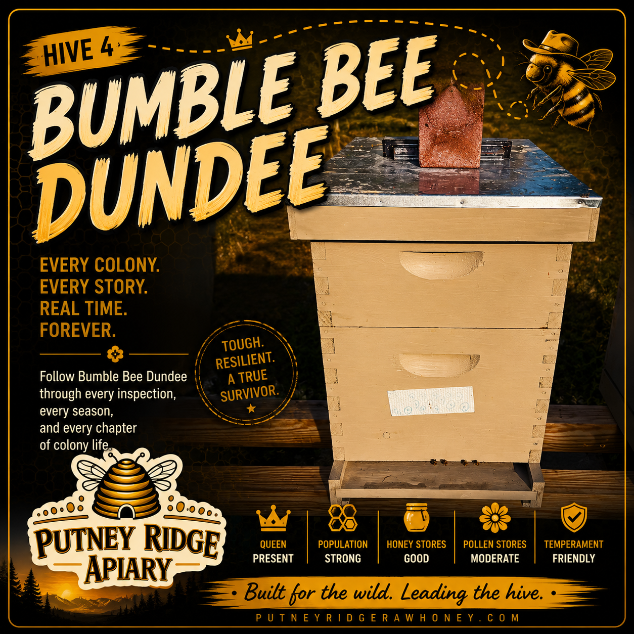 Hive 04.png