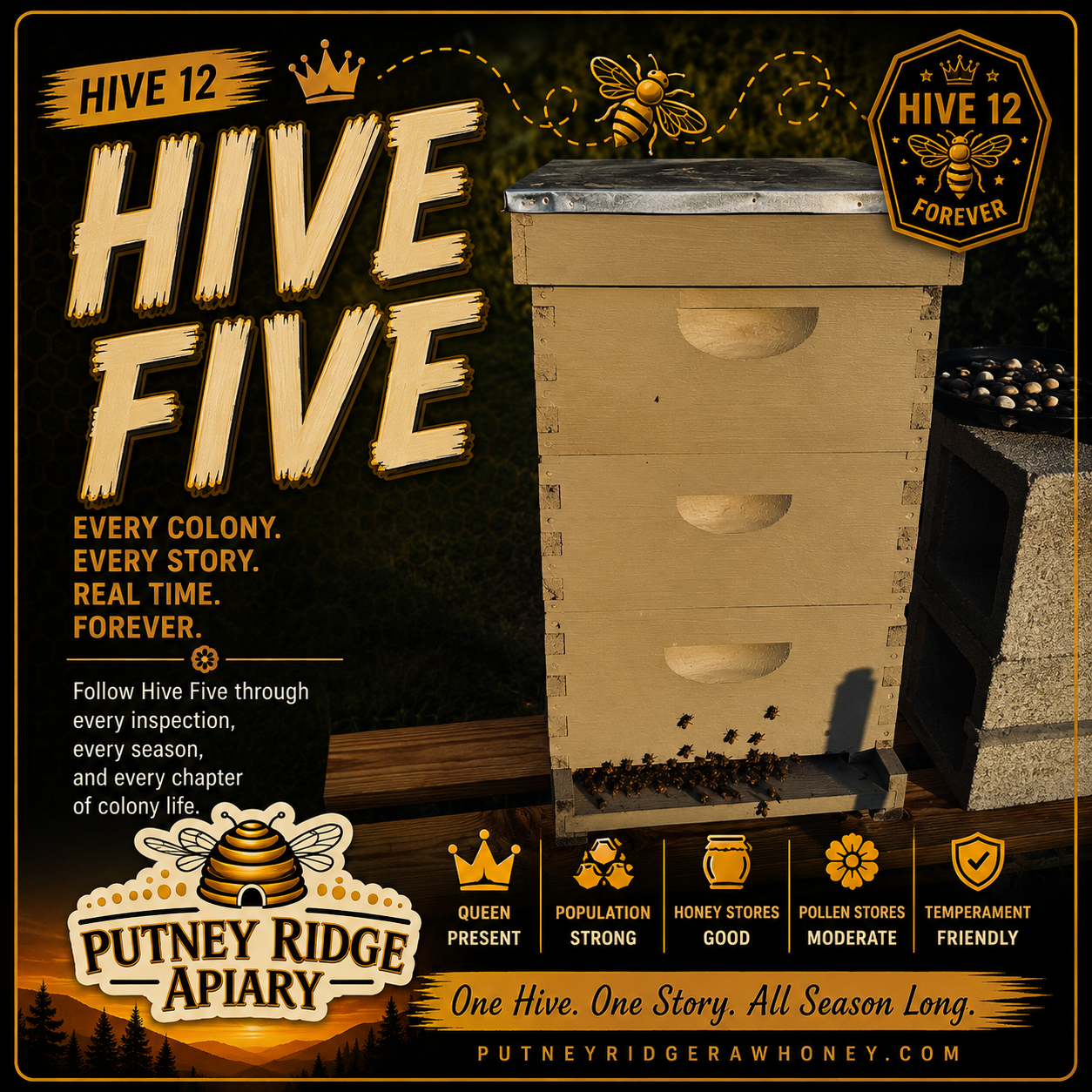 Hive 12.png
