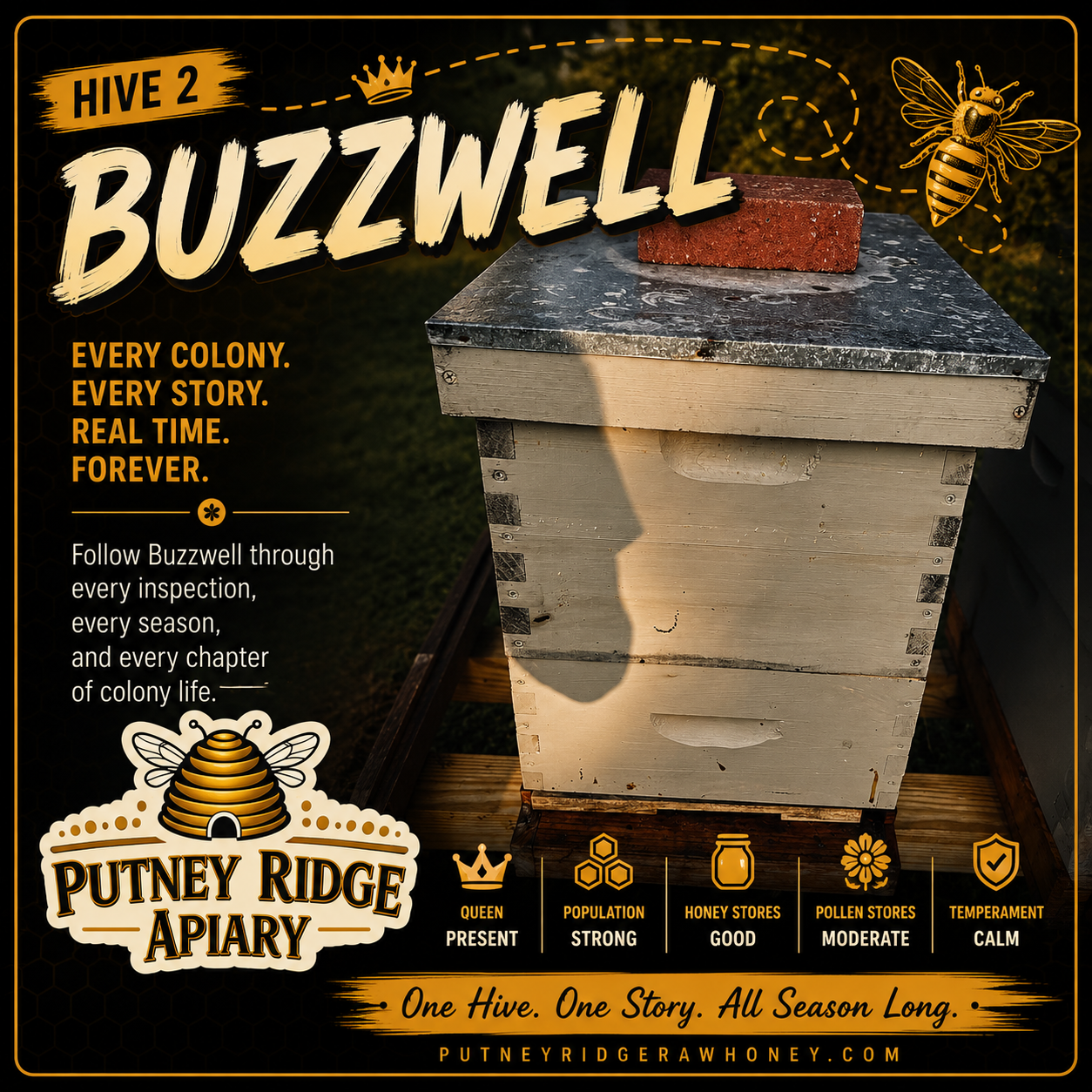 Hive 02.png