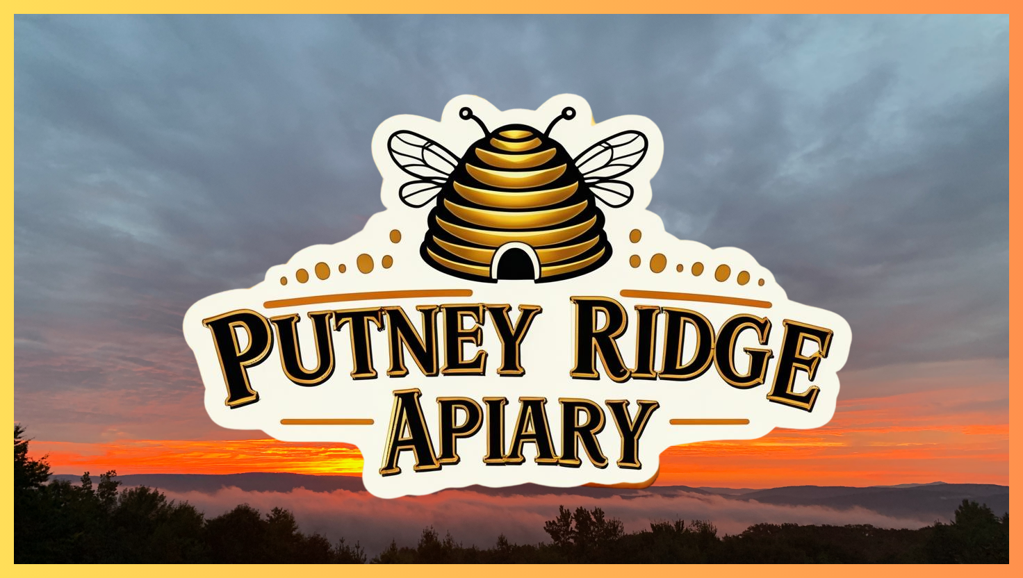 Why I Keep Bees... The Truth Might Surprise You