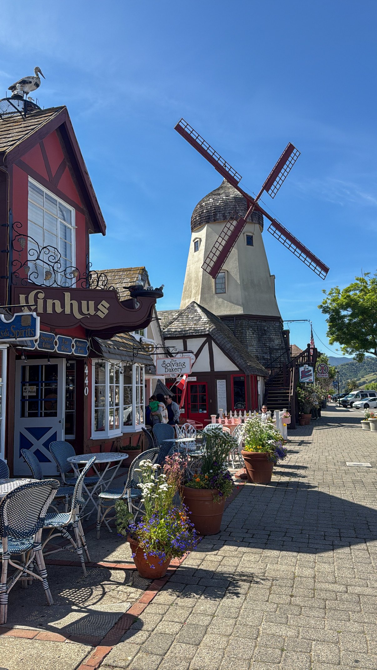 62919D98-310E-43A5-A4A3-A49F63A3810F 2.JPG