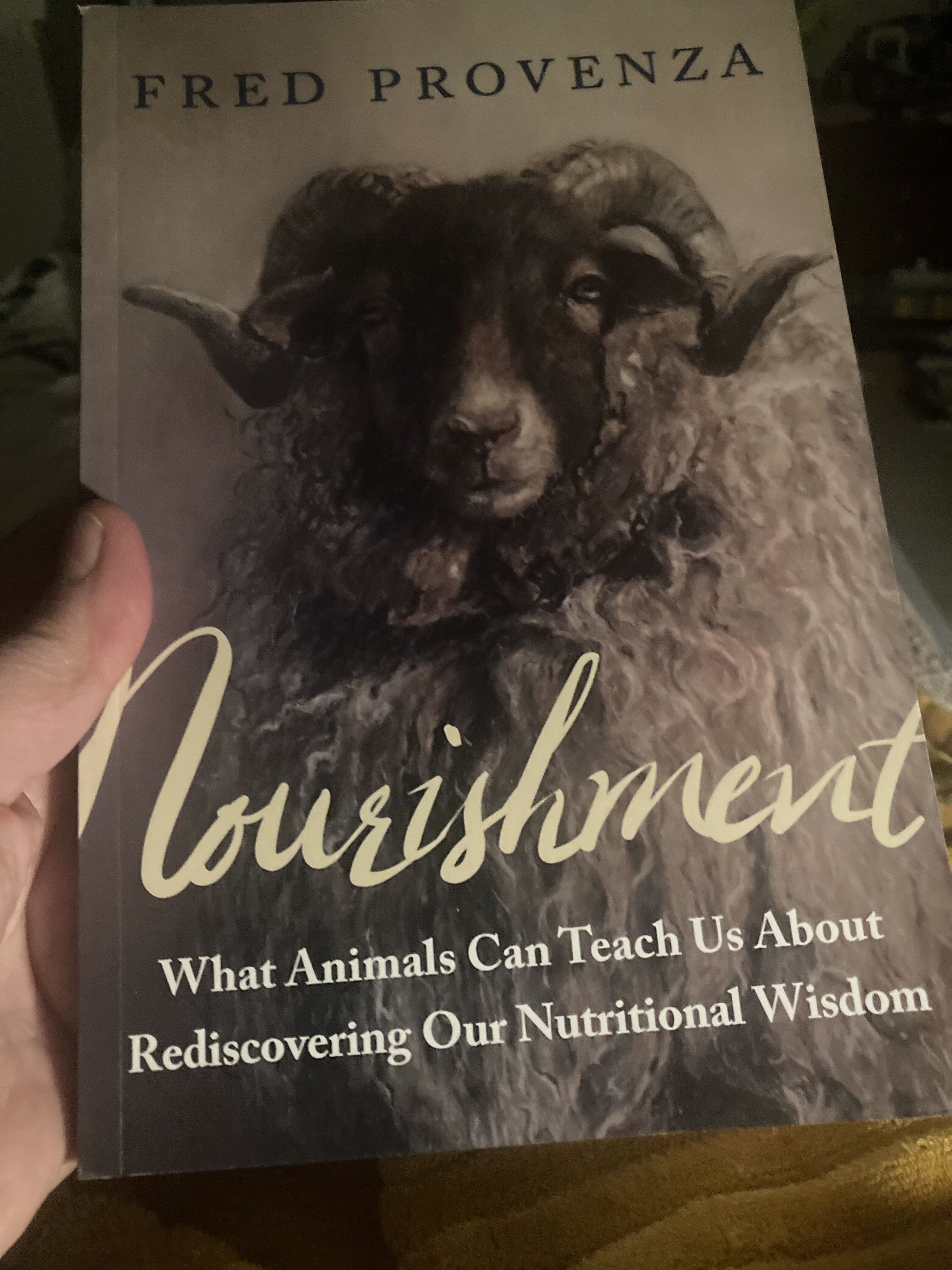 Nourishment.jpg