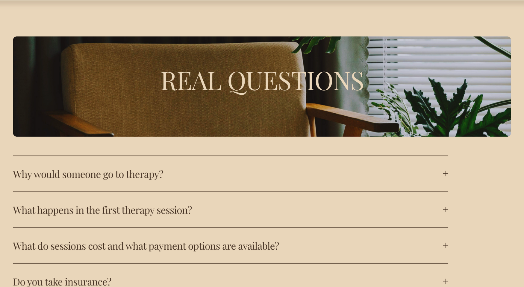 Portfolio _ SMT _ FAQs.png