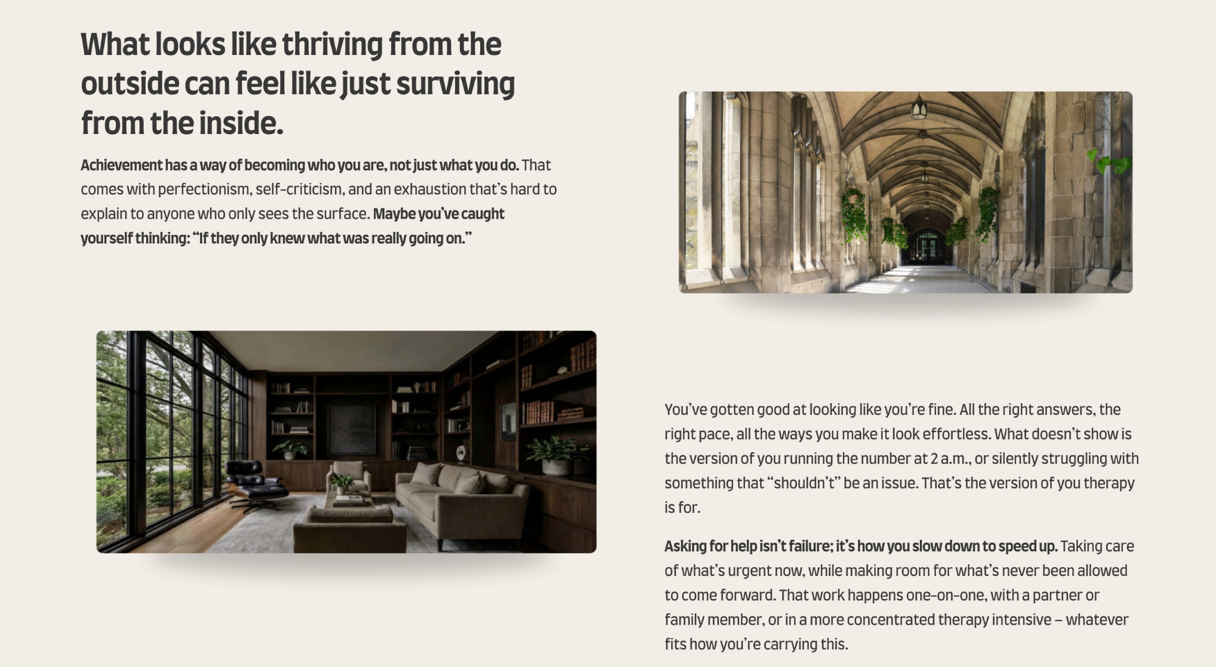 Portfolio _ FC _ Therapy Overview.png