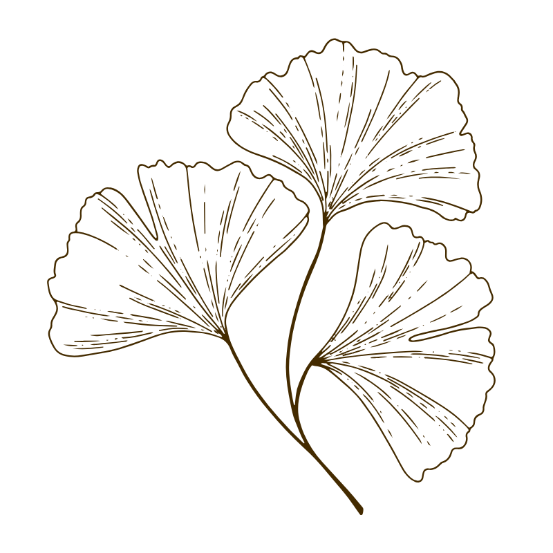 Hand-drawn graphic of a steam with 3 leaf-like flowers