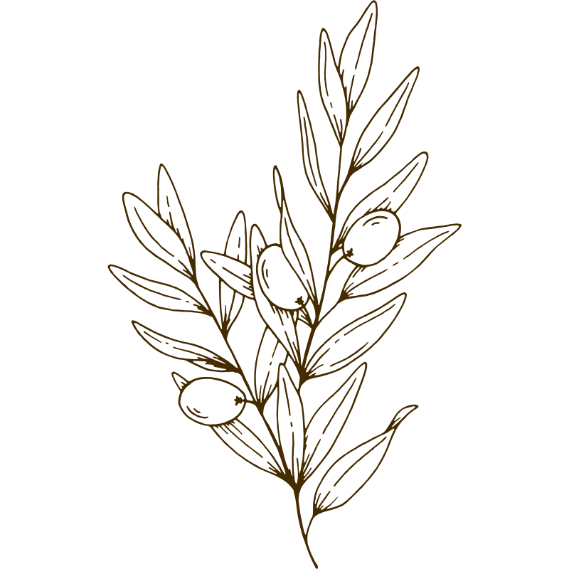 Hand-drawn graphic of a leaf with 3 berries offruit