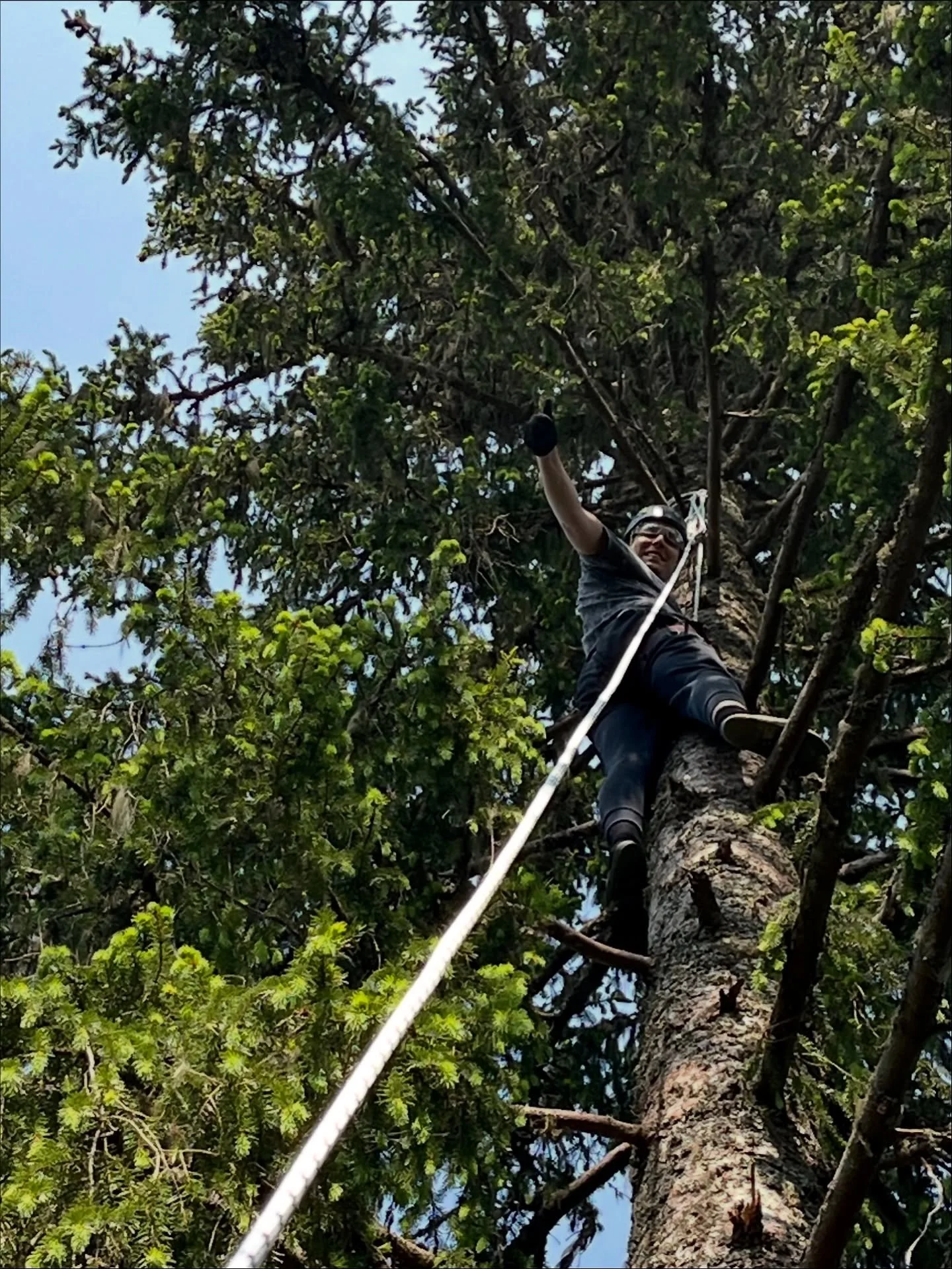 Kes&auml;n huippukokemus! 

Osallistuin kes&auml;ll&auml; Vaaran ohjattuun puukiipeilyyn leiriporukan kanssa. Kokemus oli mieleenpainuva ja rohkaiseva. Oksa oksalta kipusimme vuorollamme korkeuksiin ja n&auml;k&ouml;alat olivat upeat. Laskeutuminen a