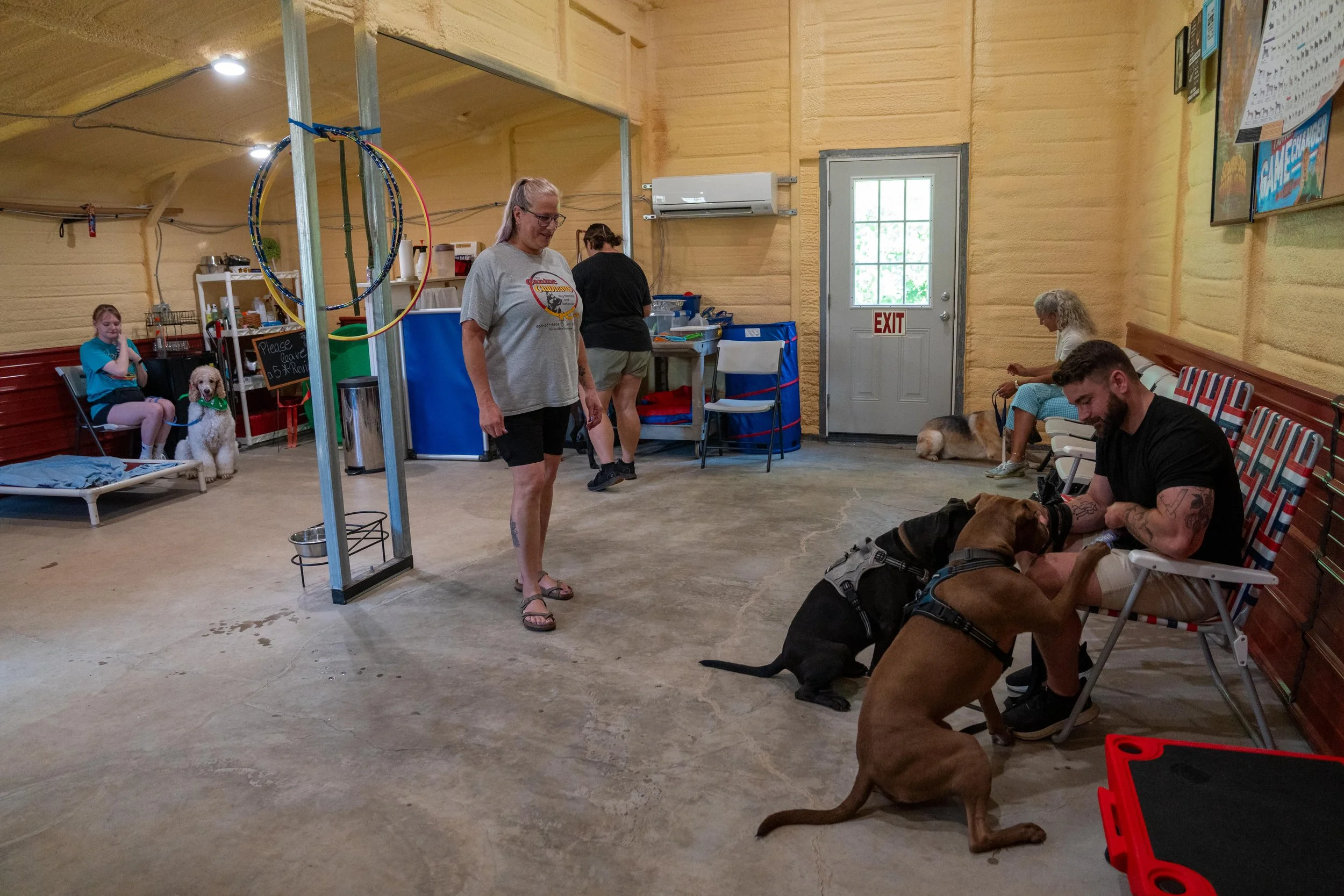 My Dog Won’t Listen to Me: 5 Tips to Help Your Dog Focus