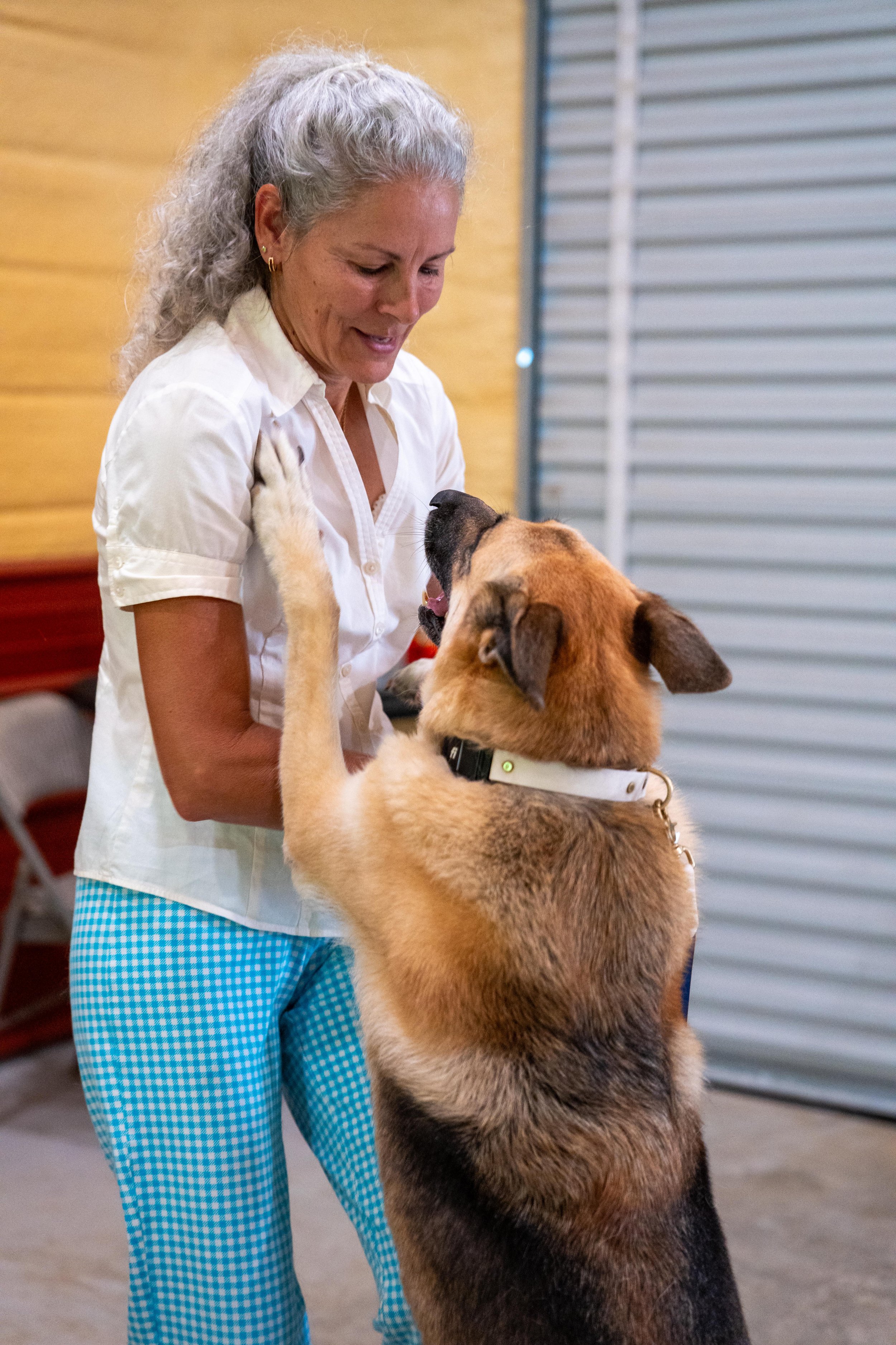 Pet Pool Safety: Keeping Your Best Friend Safe by the Water This Summer
