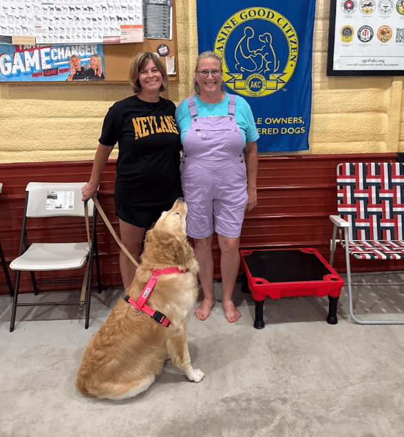 The Canine Clubhaus is training a dog with the owner. The dog is focusing on the trainer. How to help your dog focus if you dog won't listen to you.