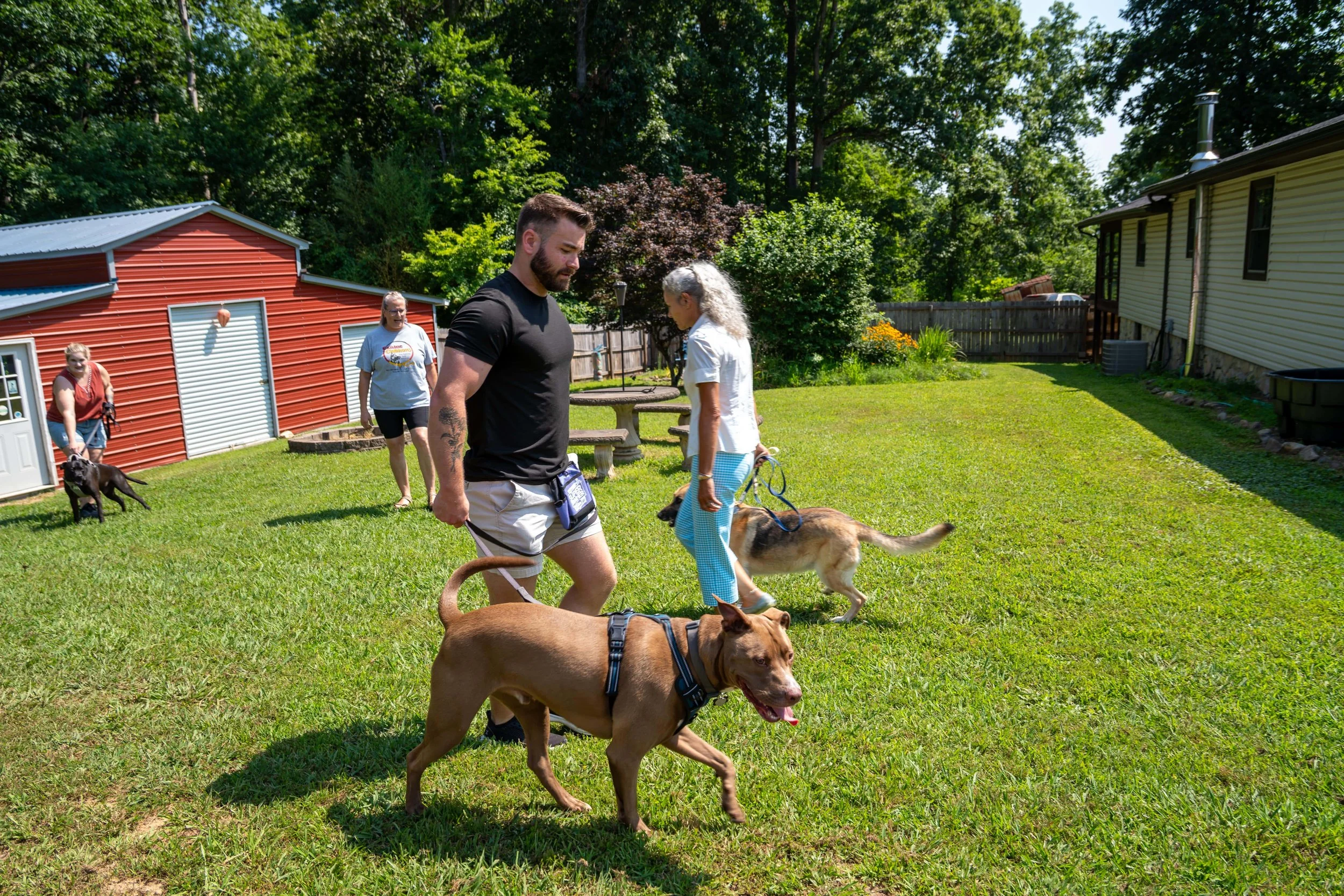 Two dog owners are walking their dogs in a field while being trained by The Canine Clubhaus.