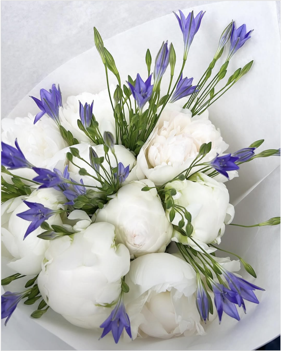 bouquet peonie.png