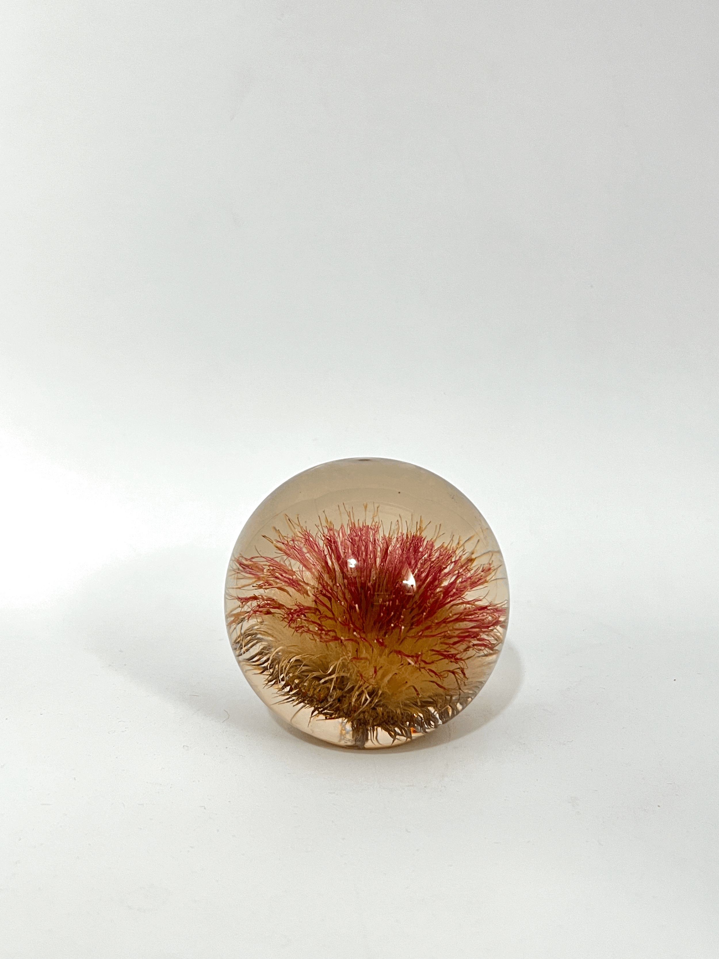 Fermacarte cardo vintage