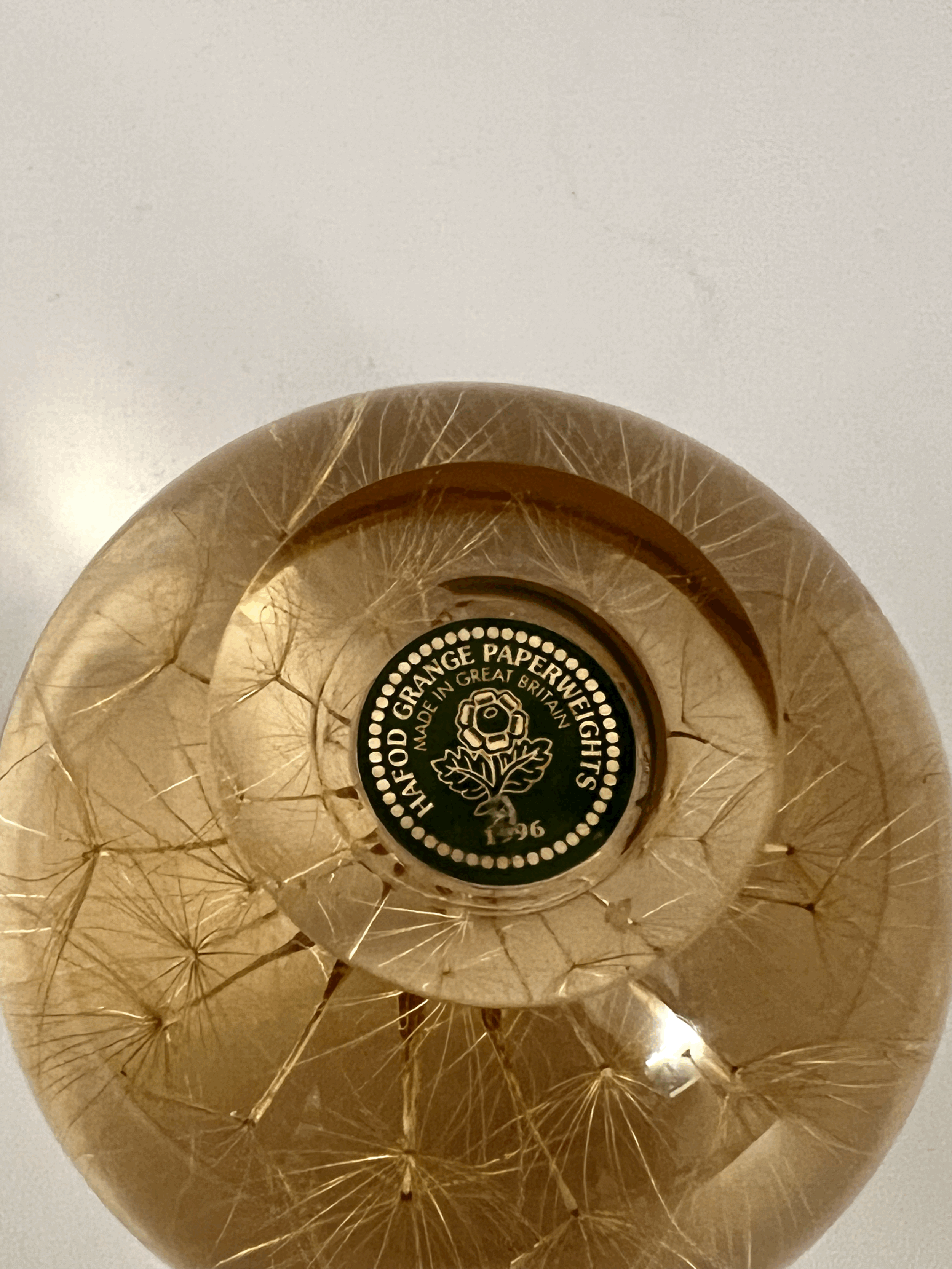 tempImageTt5Zqn.gif