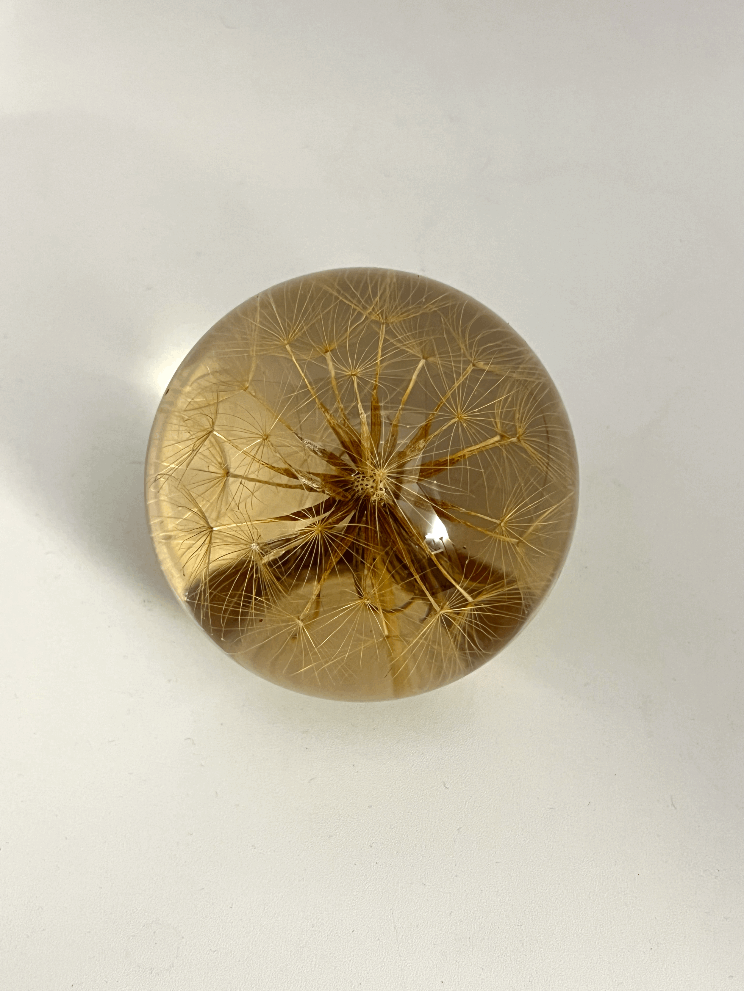 tempImageNsupn0.gif