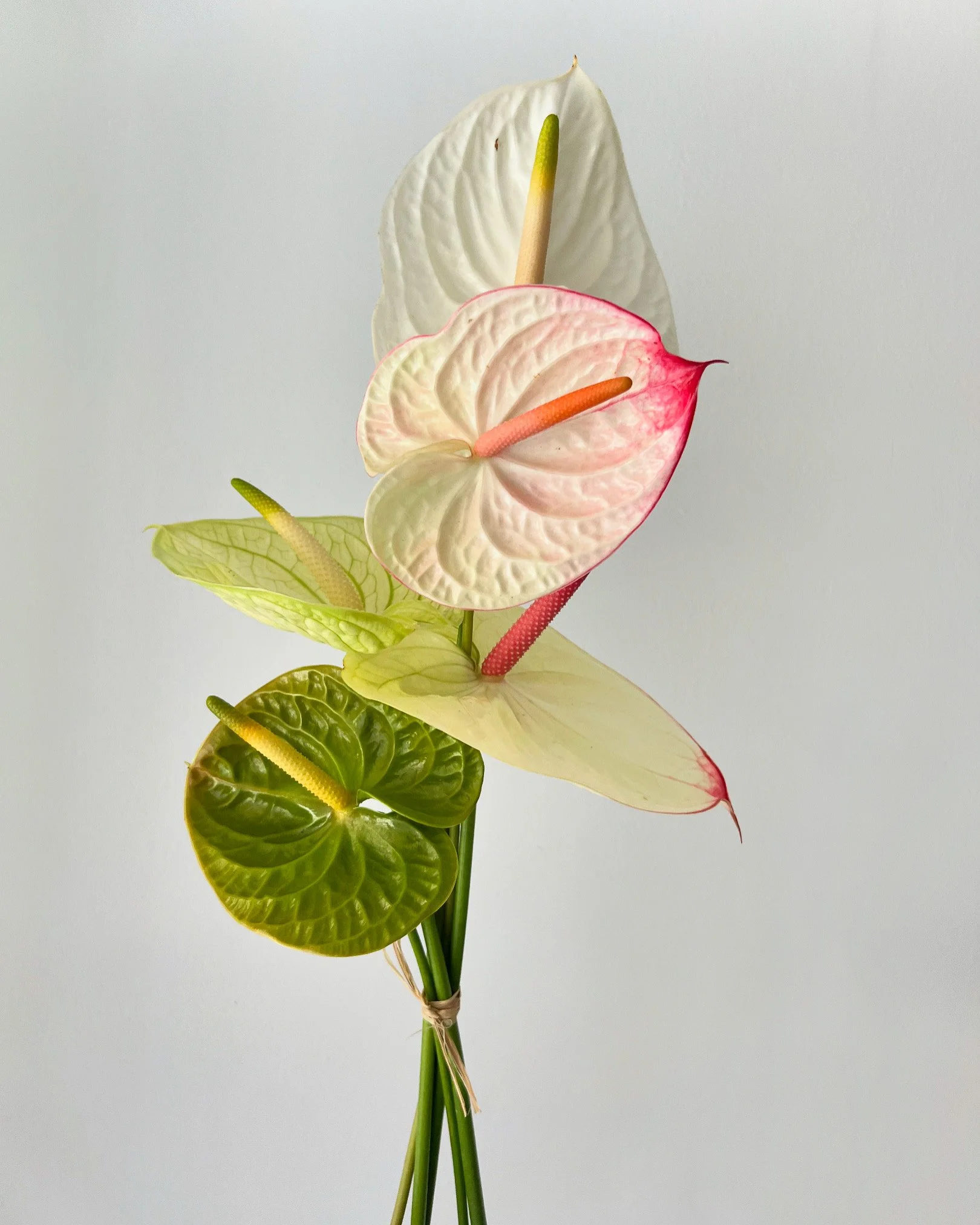 Albasser Studio minimal bouquet