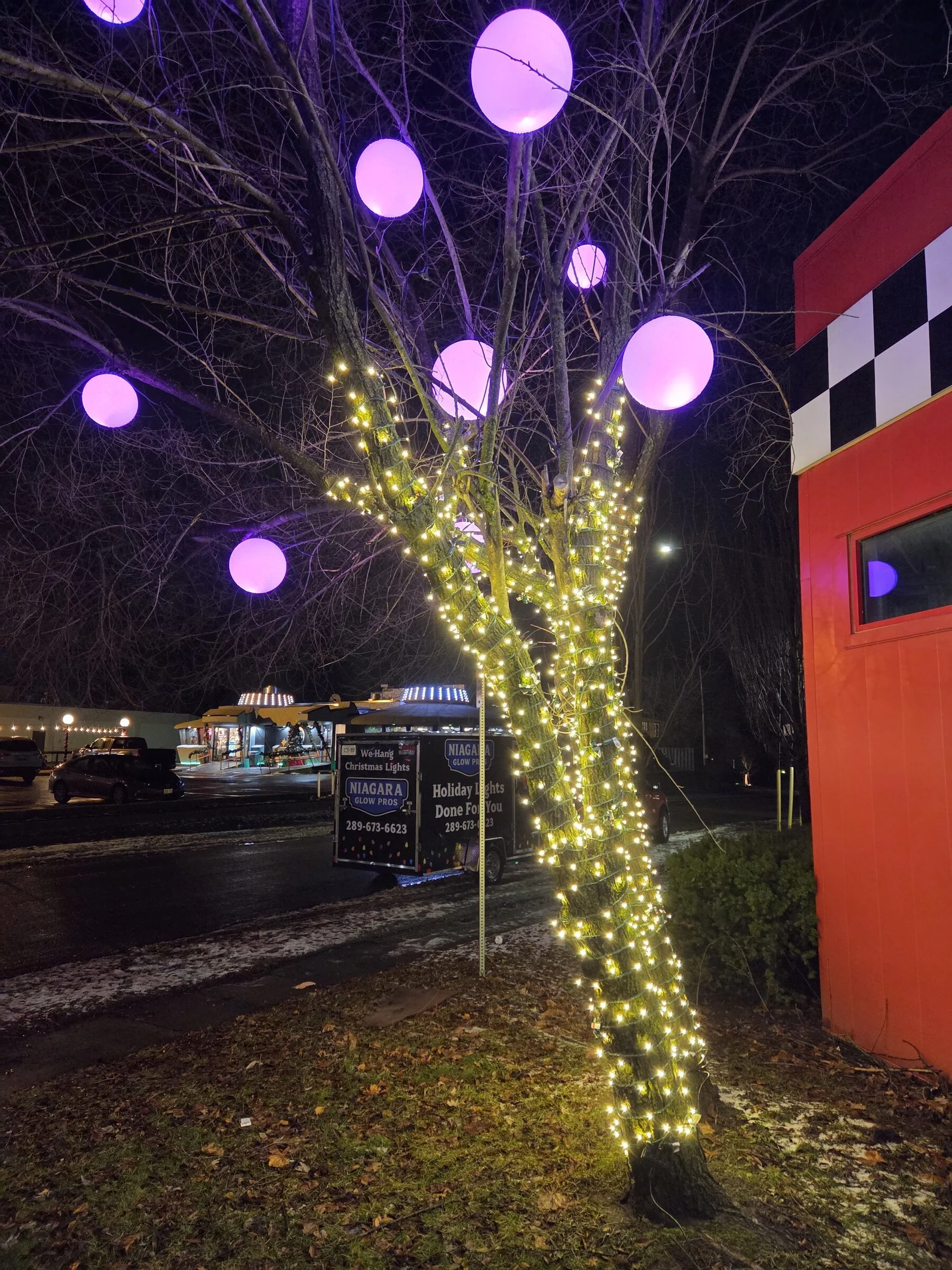 Commercial evergreen trees wrapped in vibrant pink Christmas lights and warm-white bush wraps at dusk in Niagara Falls.