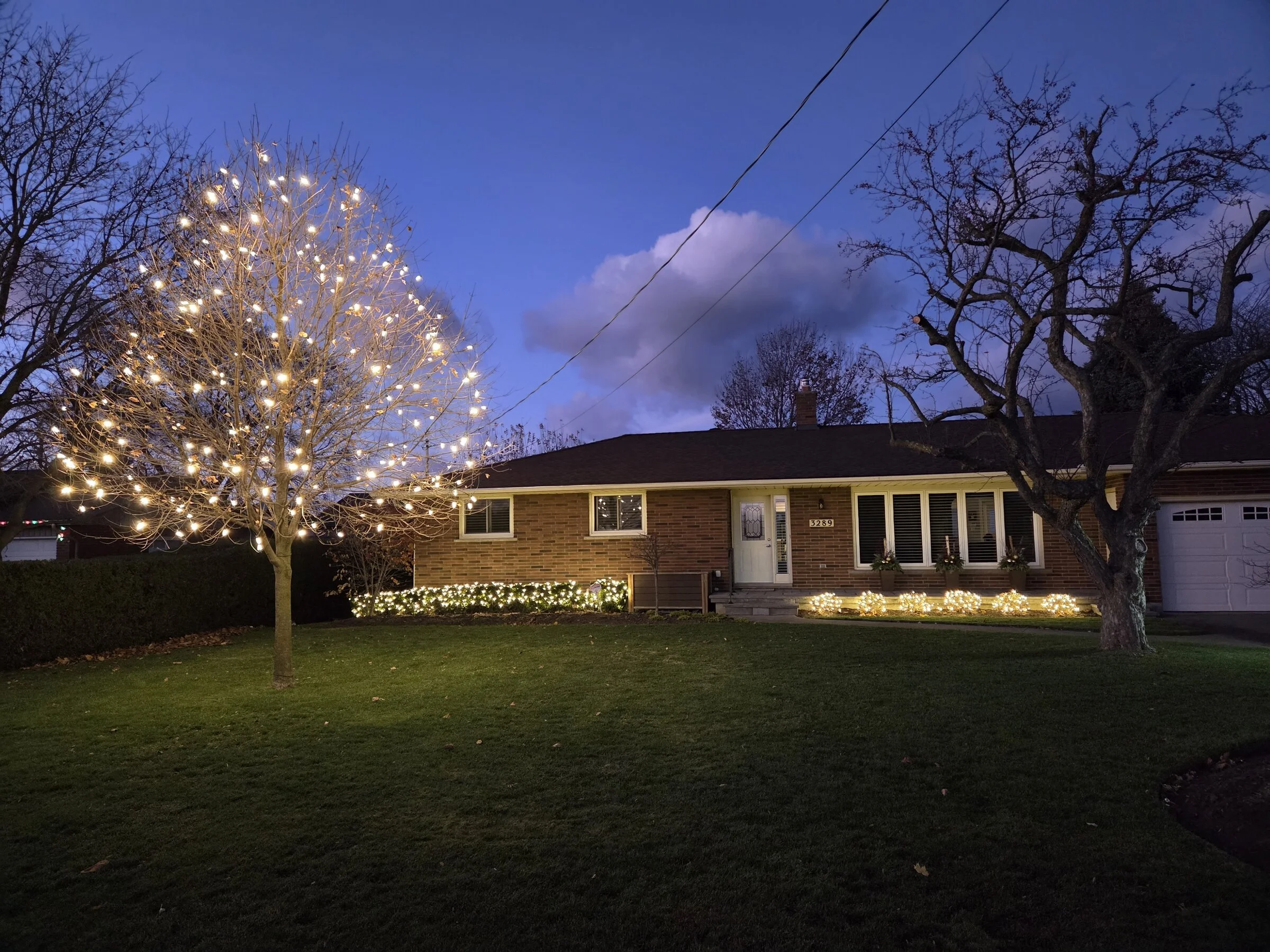 Residential brick bungalow at dusk with warm-white tree wrap and bush wraps across the front yard in Lincoln.