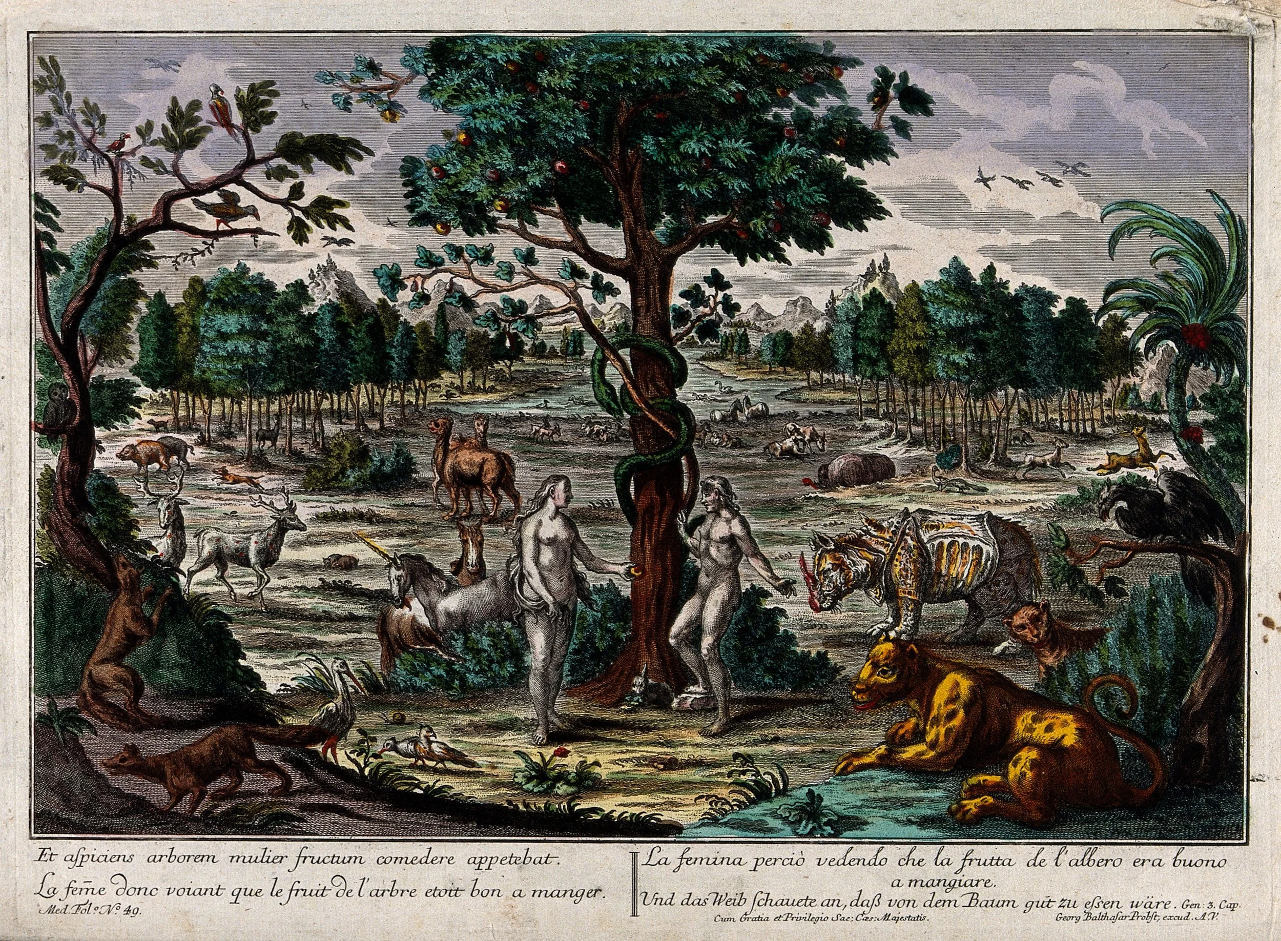 El Jardín donde Pasea Dios