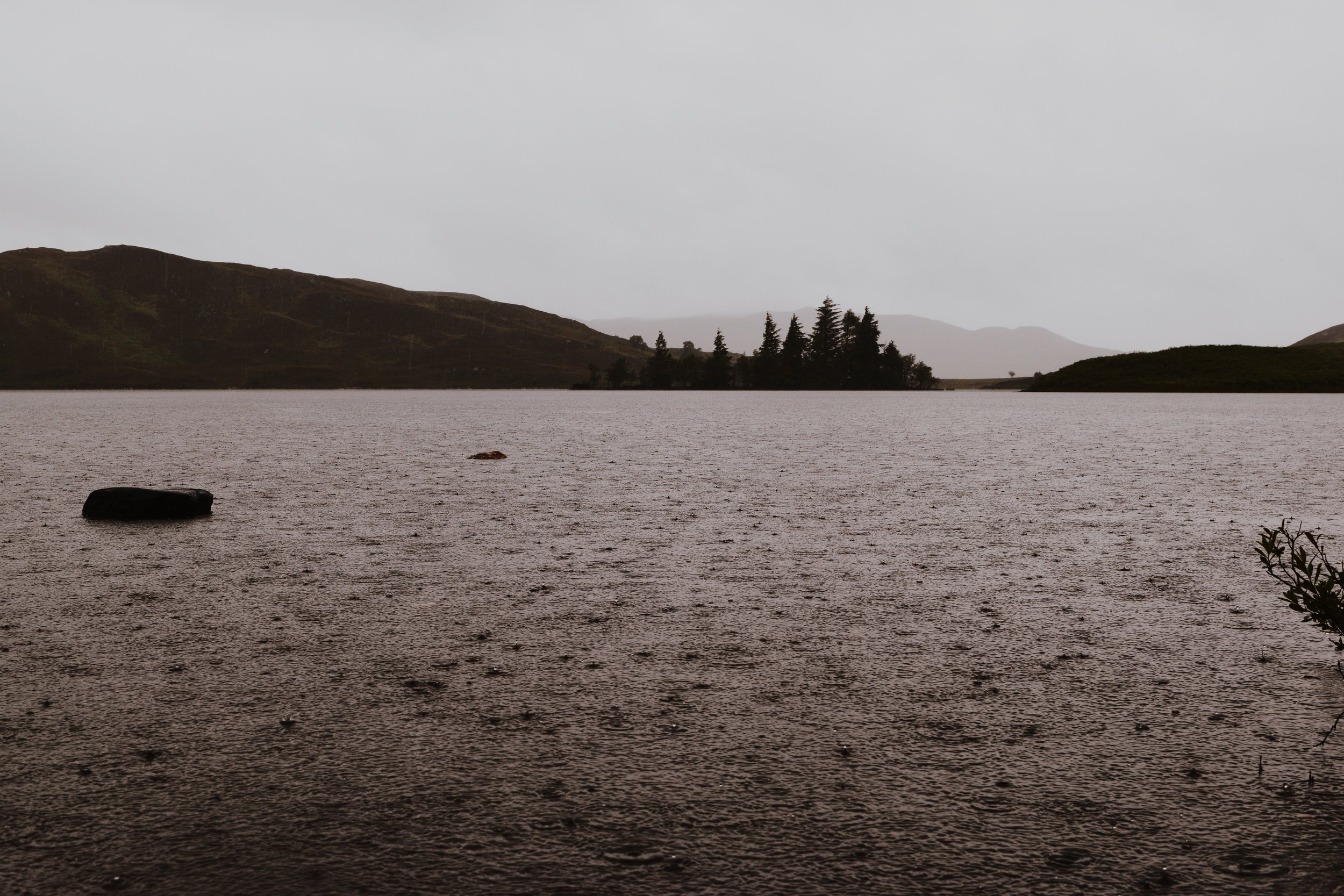 DSC_0154.jpg