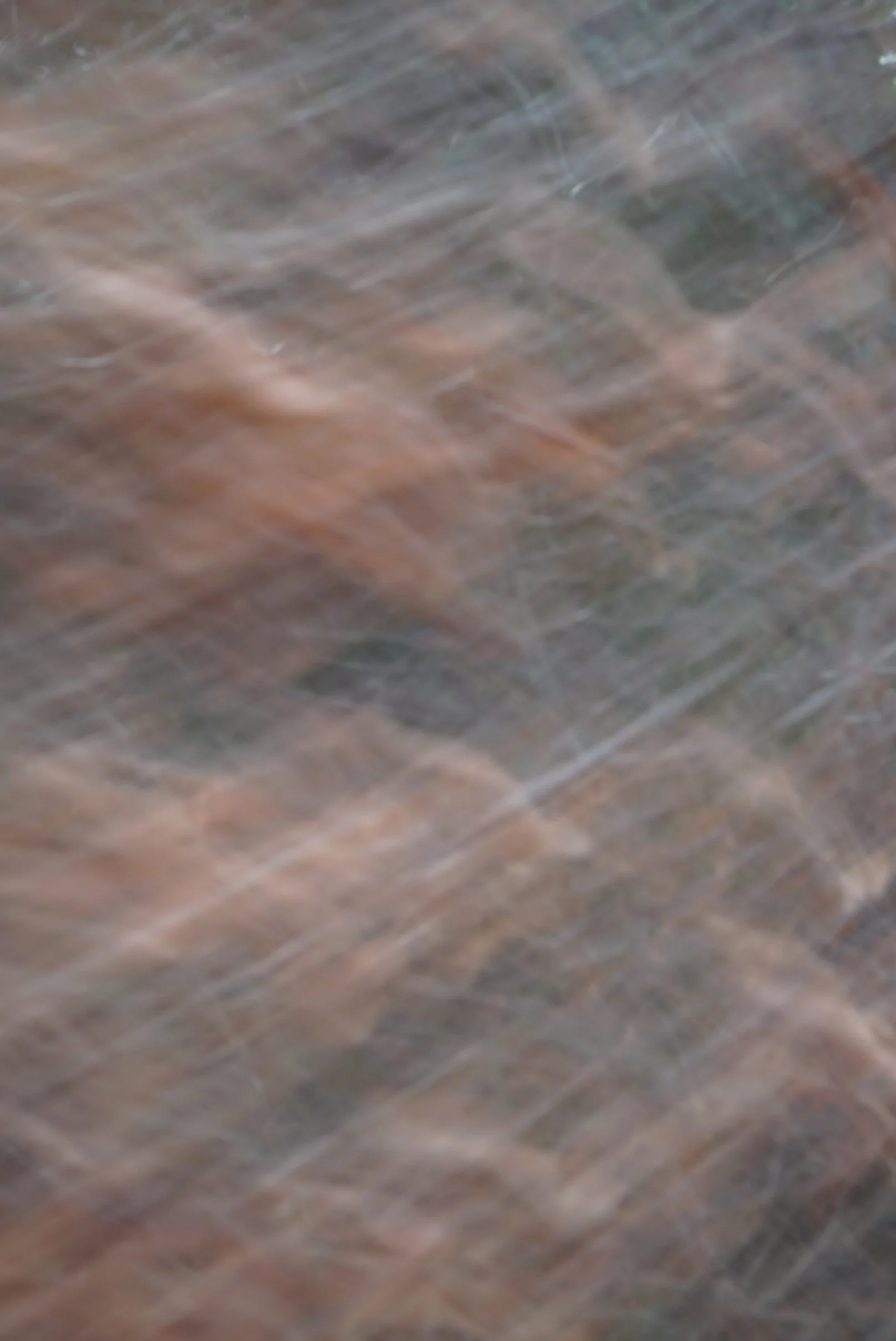 DSC00993.JPG