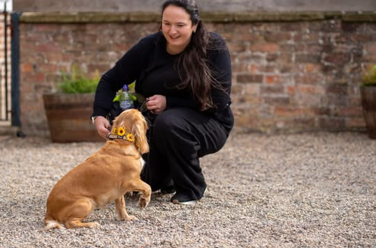 Woman kneeling and smiling at a small golden puppy outdoors on a gravel surface.