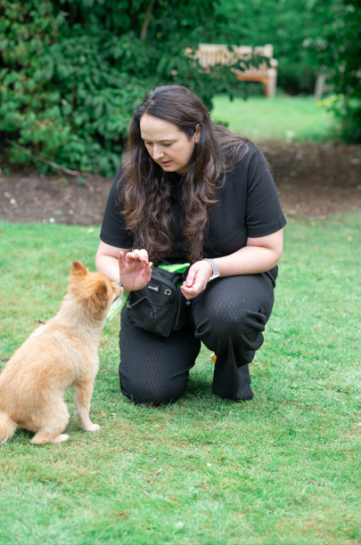 A woman crouching on grass, offering a treat to a small orange dog in a park setting with green trees and bushes in the background.
