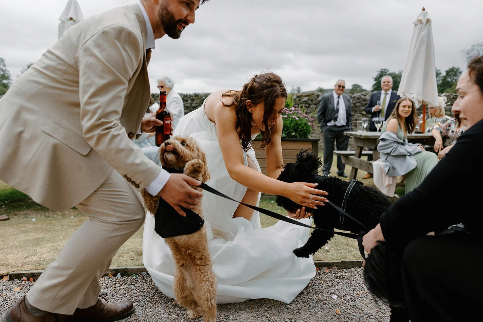 Dog chaperone holding dogs whilst bride and groom kneel down to stroke the dogs 
