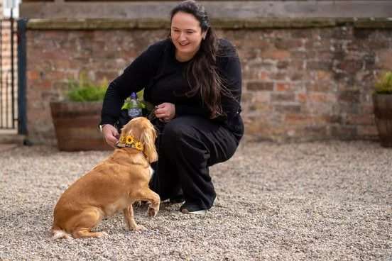 Woman crouching and playing with a golden retriever puppy outside on gravel.