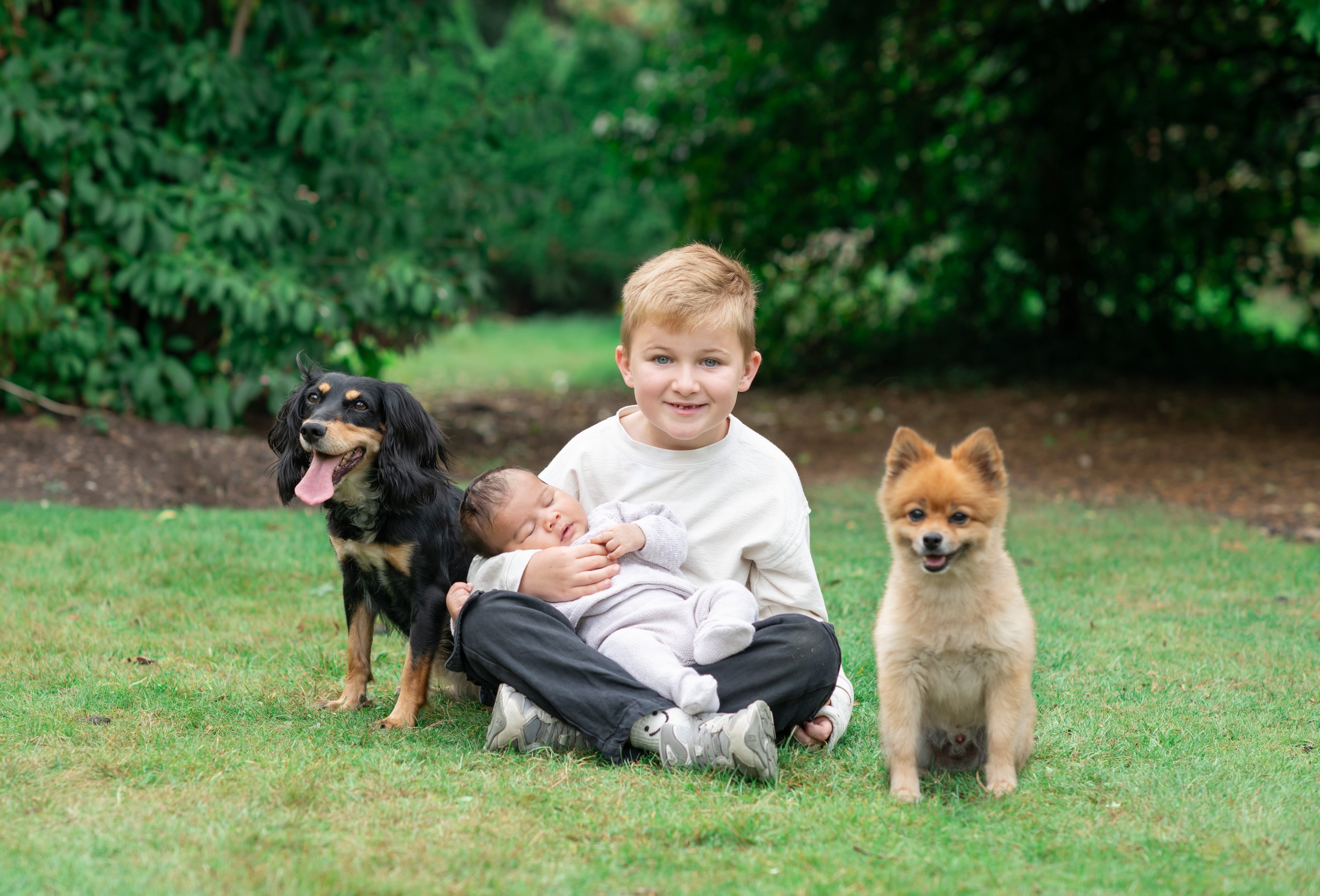 A young boy sitting on the grass outdoors holding a small sleeping baby, with a black and tan dog and a light brown fluffy dog nearby.