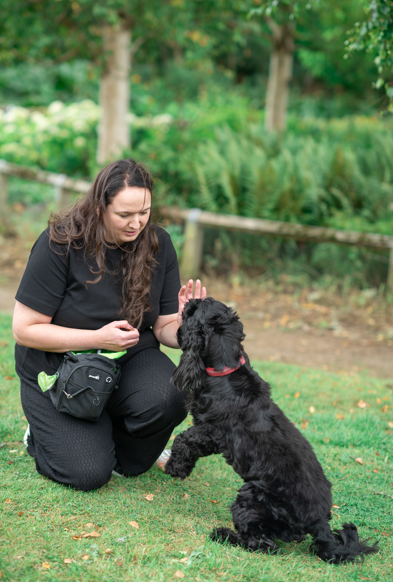 Woman kneeling on grass and training black puppy in park with trees and greenery in background