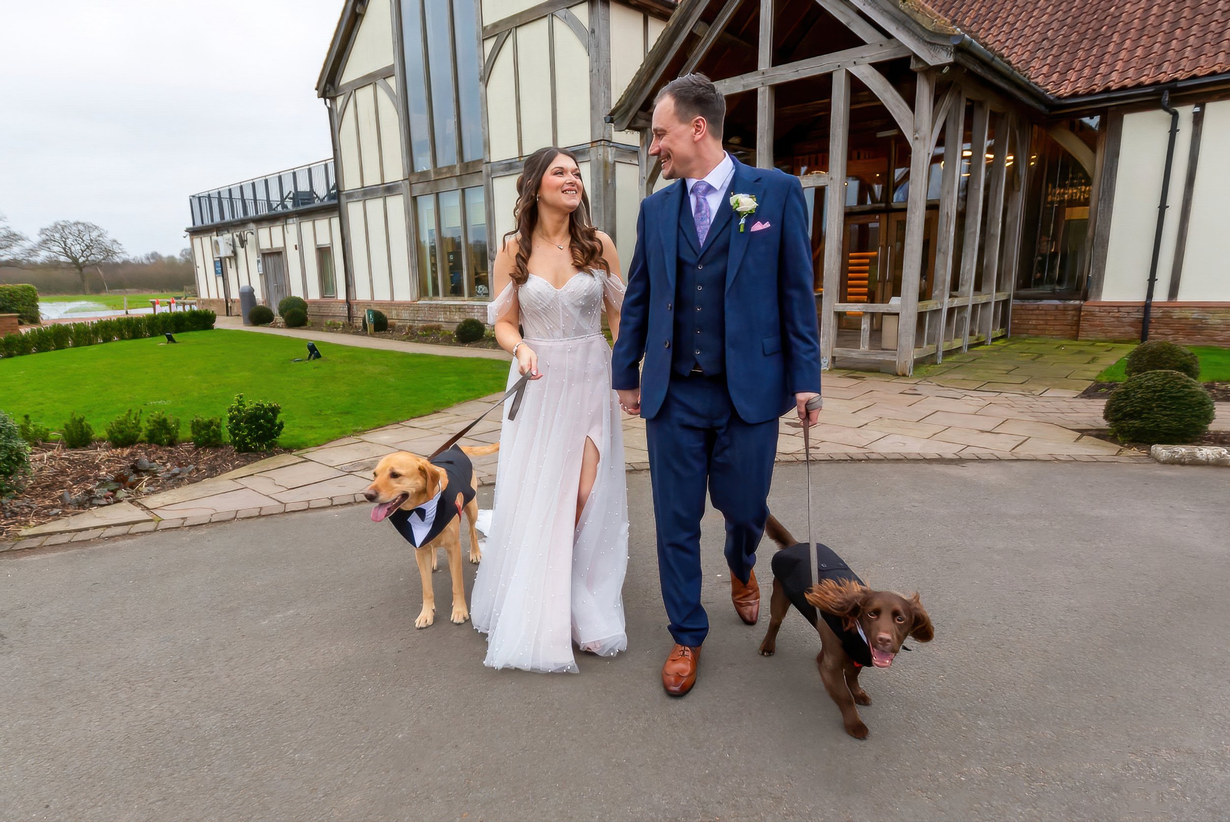 wedding-photoshoot-dogs.jpg