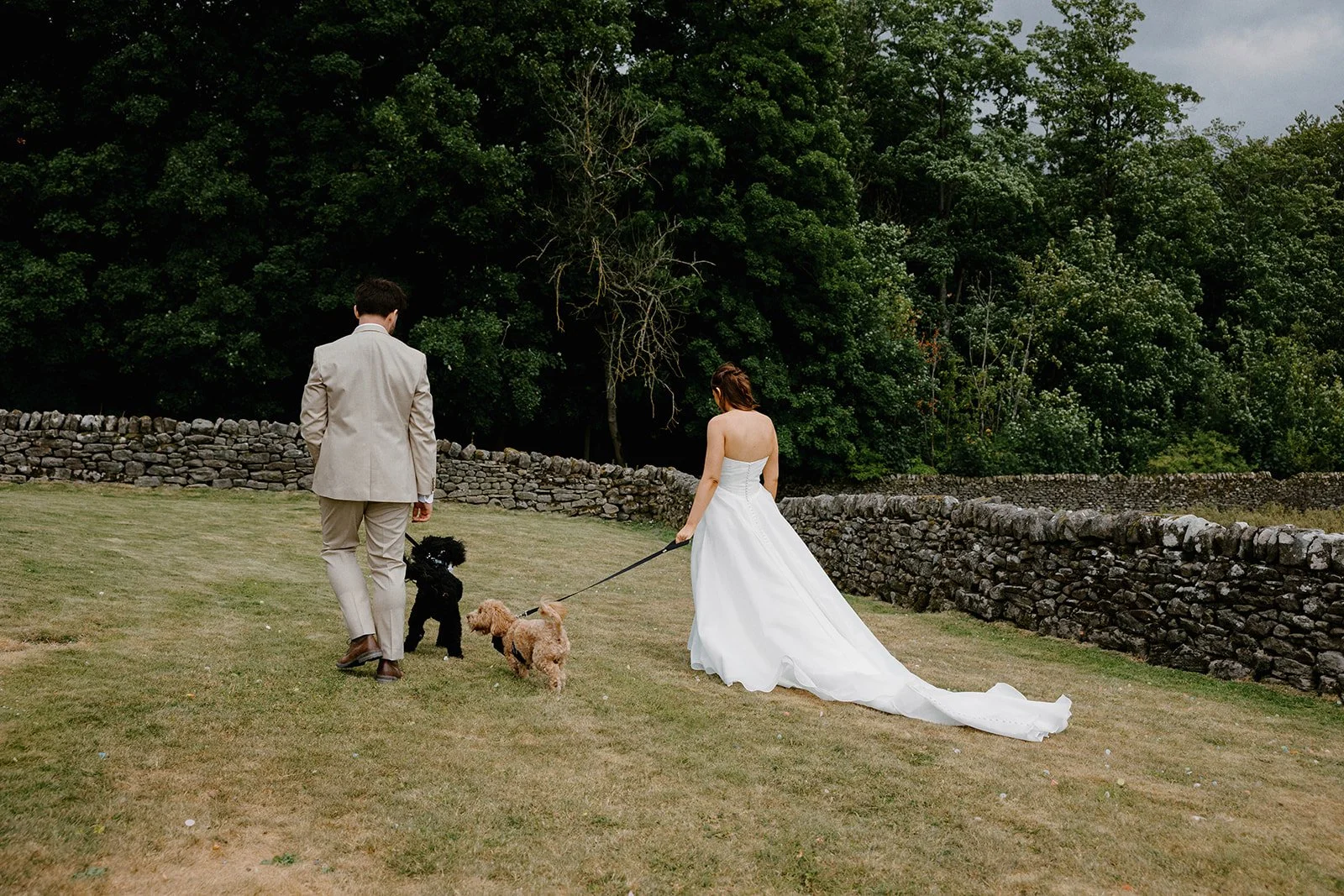 Two dogs walking with bride and groom, with trees and grass around them 