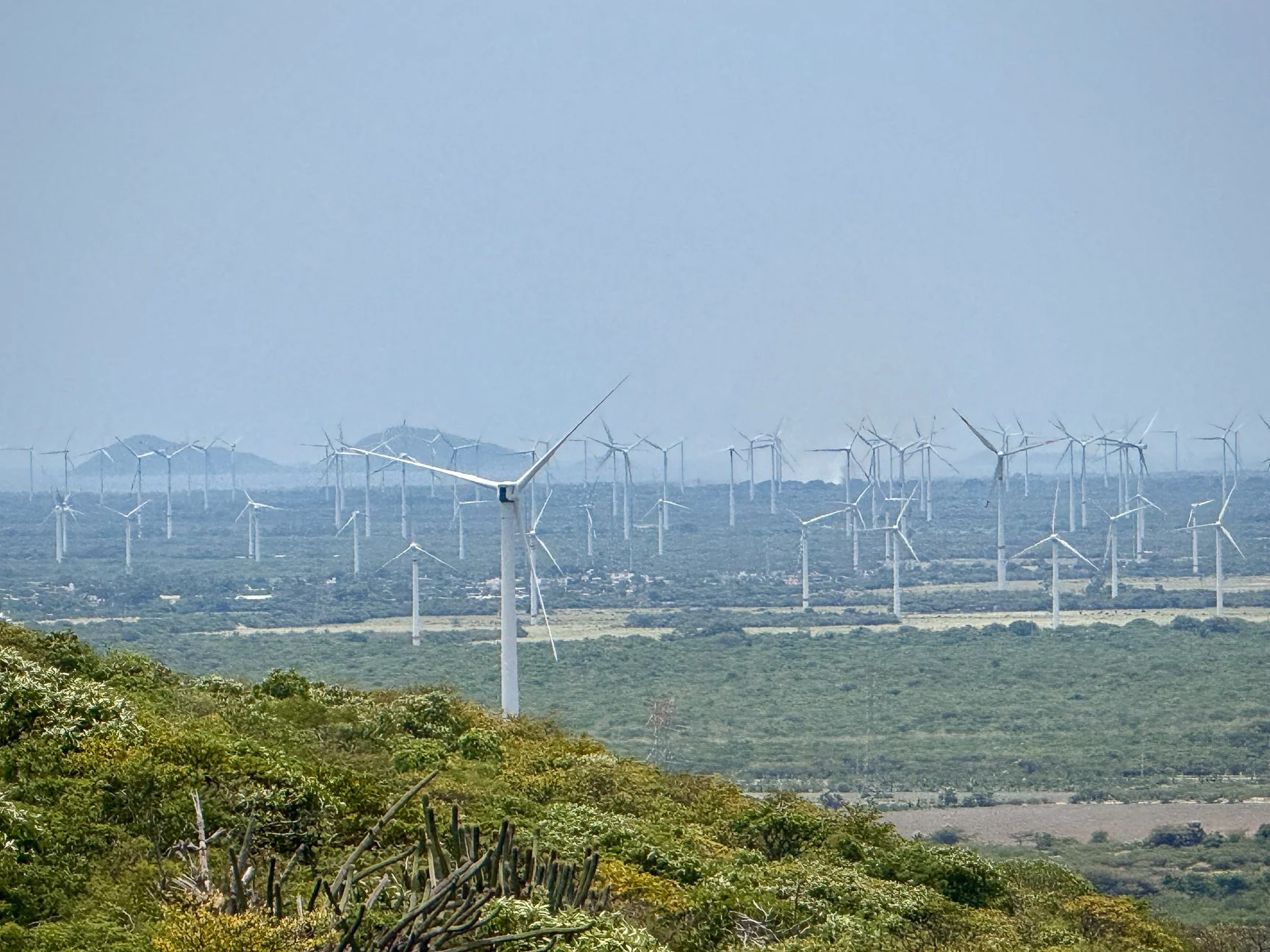 HUGE wind generation project near Asunción Ixtaltepec, Oaxaca, Mexico. Hundreds of turbines.