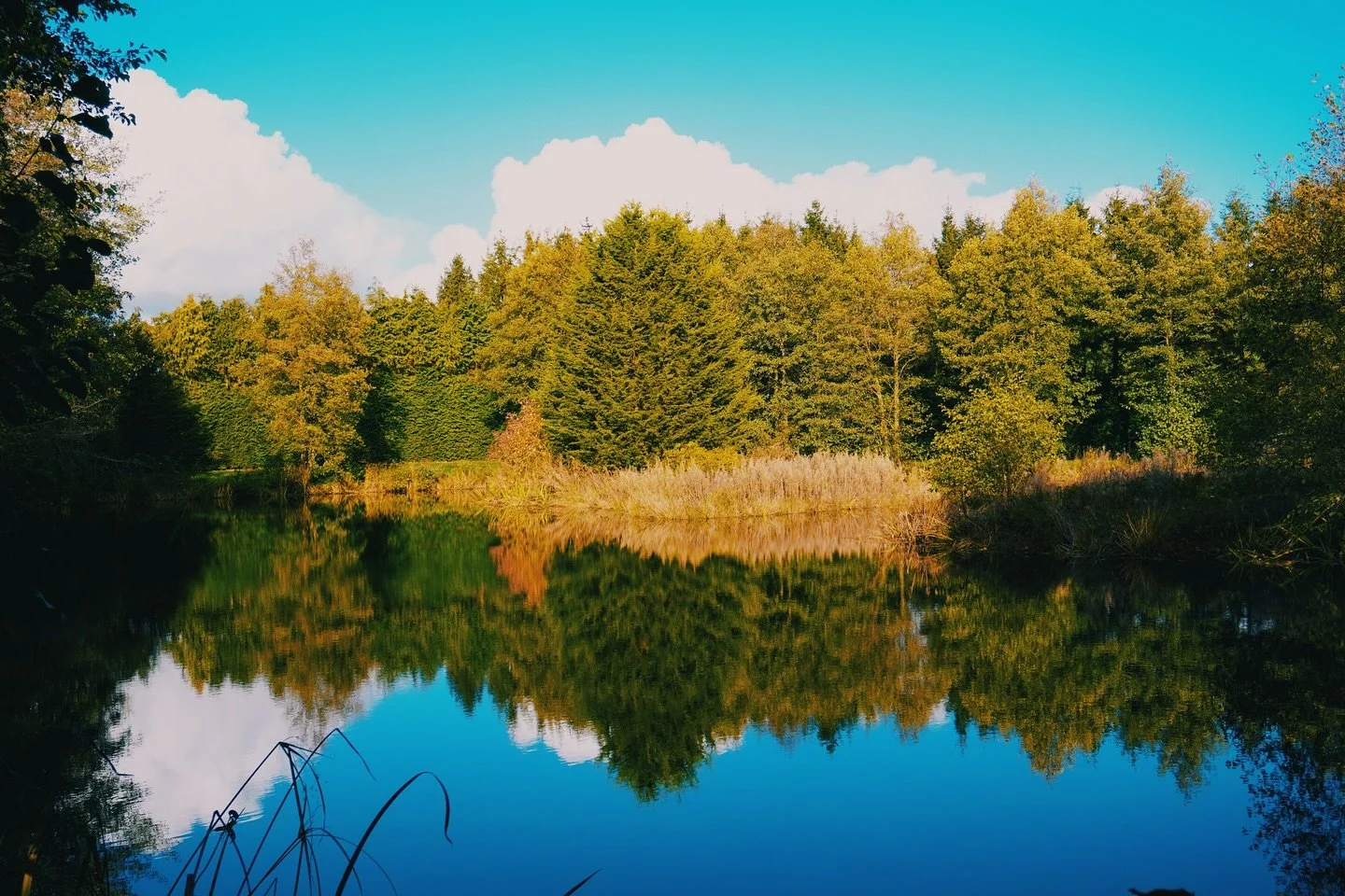 Lunar Lakes 01.11

Open Saturdays 10 - 6

@lunarlakes.uk 

#naturespace #communityspace #shrewsbruy #shropshire