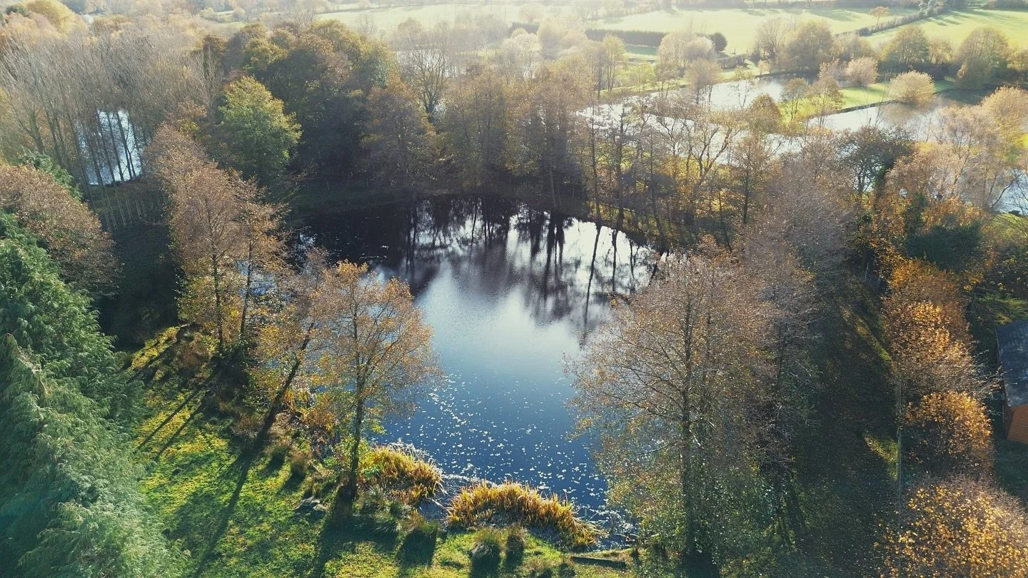 Lunar Lakes and The Dome on a sunny Autumn day

#naturecommunity #outdoorspace #immersiveexperience #shrewsbury #shropshire #health #creativity #membersonlycommunity