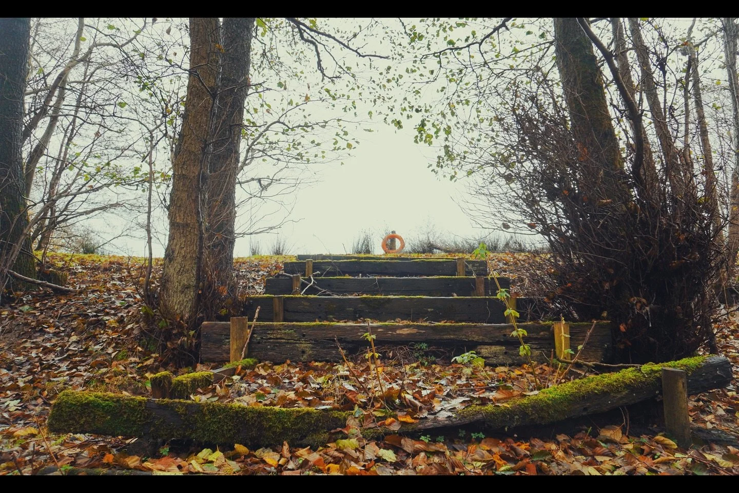Day after a lunar storm 

15.11.25

#naturephotography #naturespace #membersonlycommunity #shrewsbury #shropshire