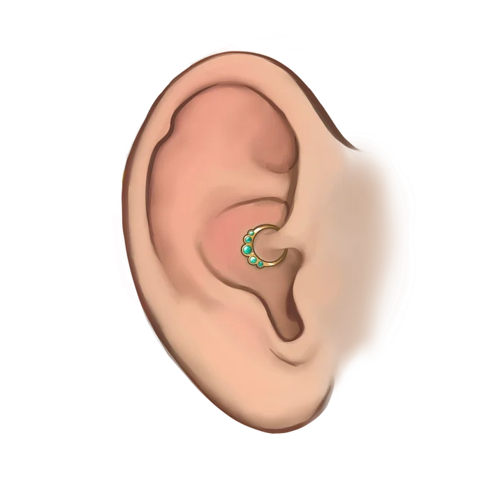 Daith.webp