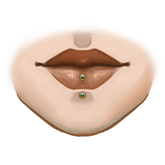 labret verticale.webp