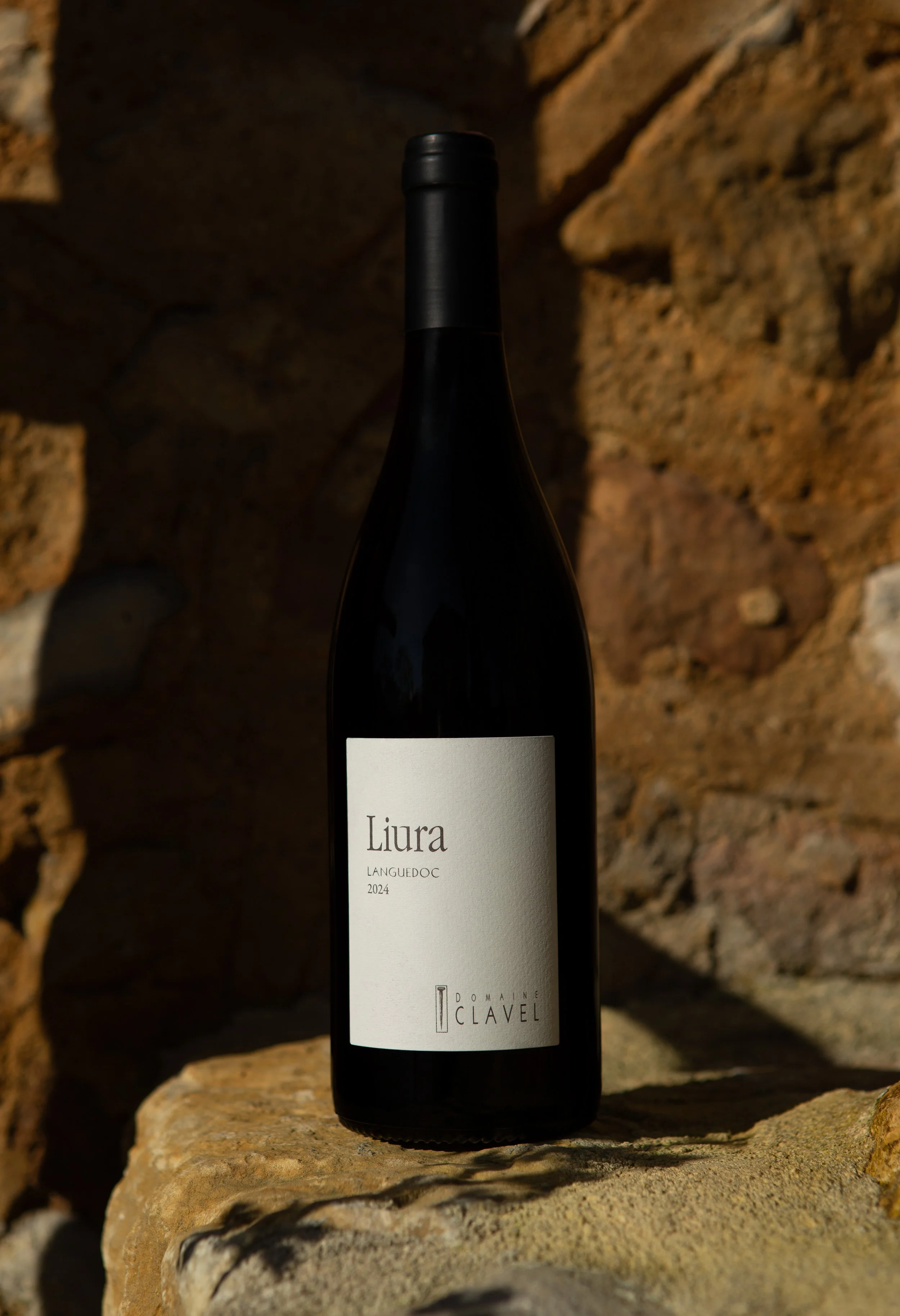 Liura - fond photo 2.jpg