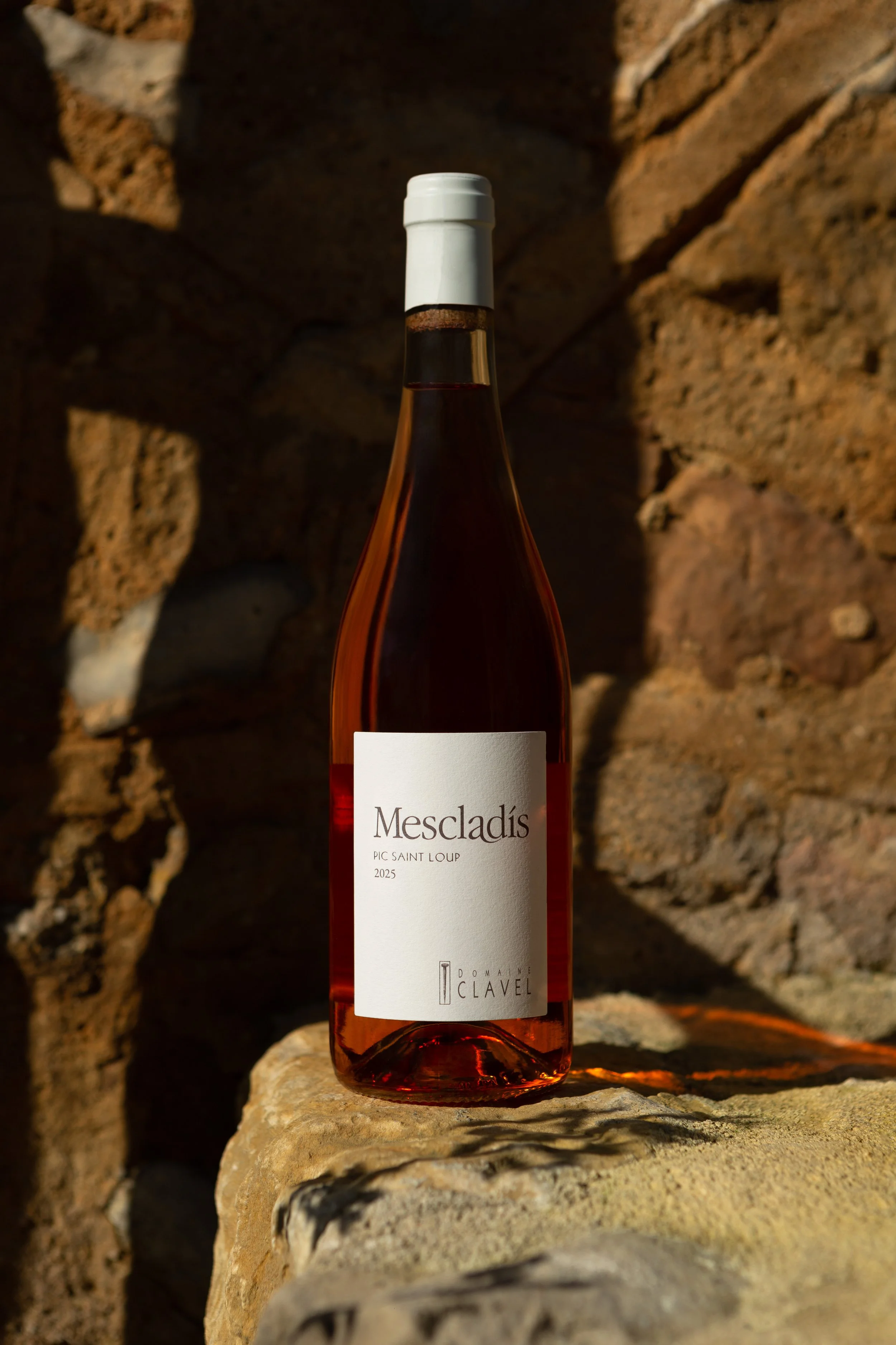 Mescladis - fond photo 2.jpg