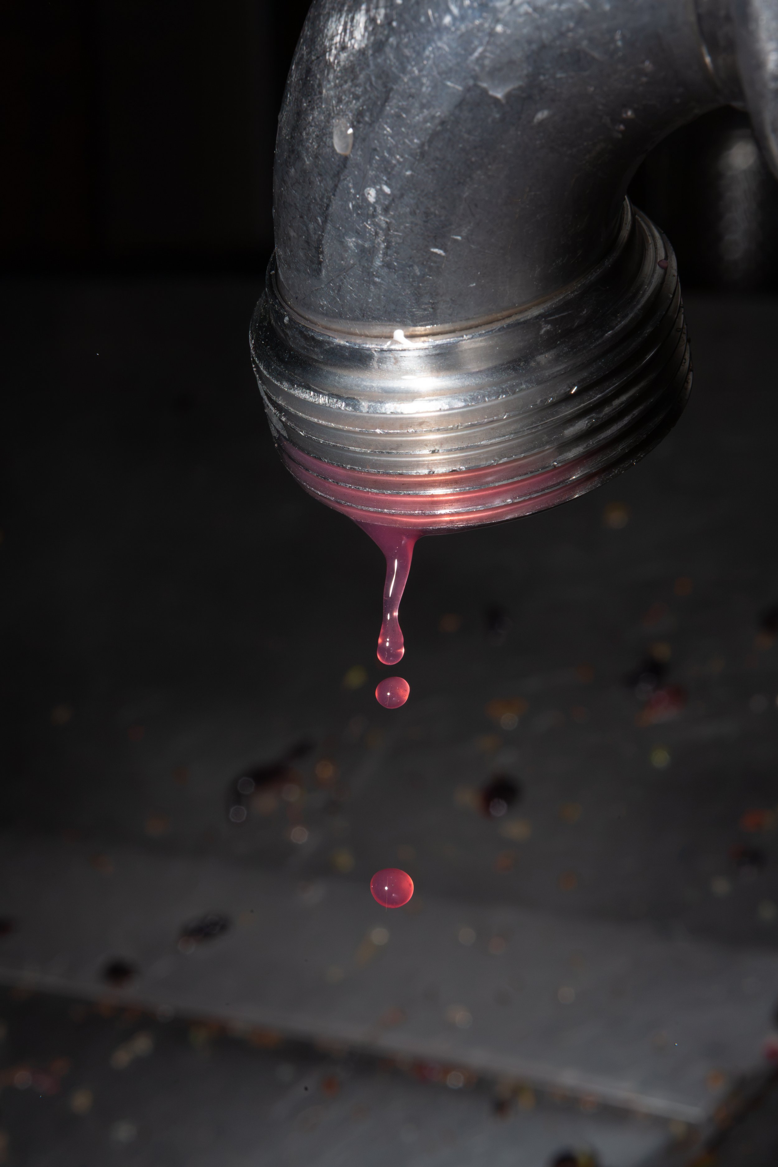 P49A9998.jpg