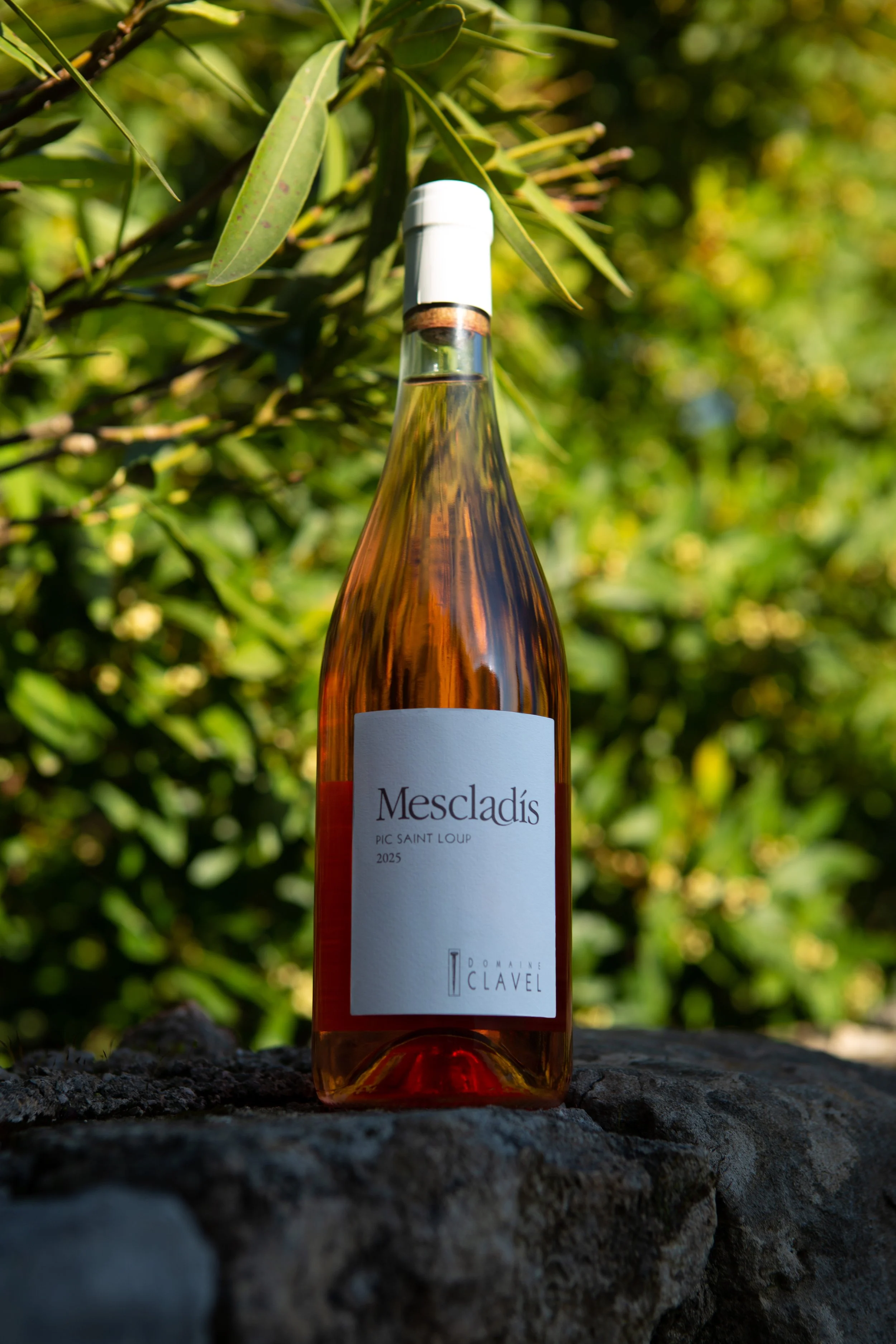 Mescladis - fond photo 4.jpg