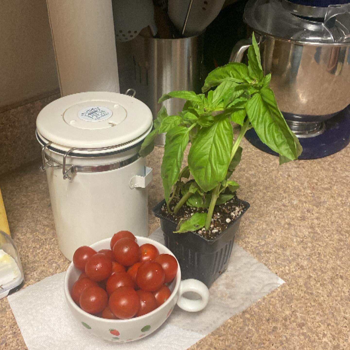 What do you when you have fresh basil and cherry tomatoes?  Make a tomato basil cheese tart!  Check out all the pies available at lydiaspies.com