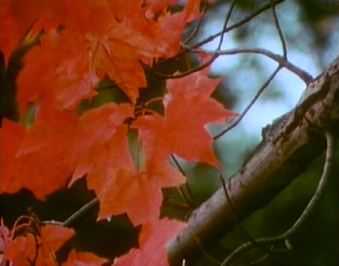 the art of seeing.jpg