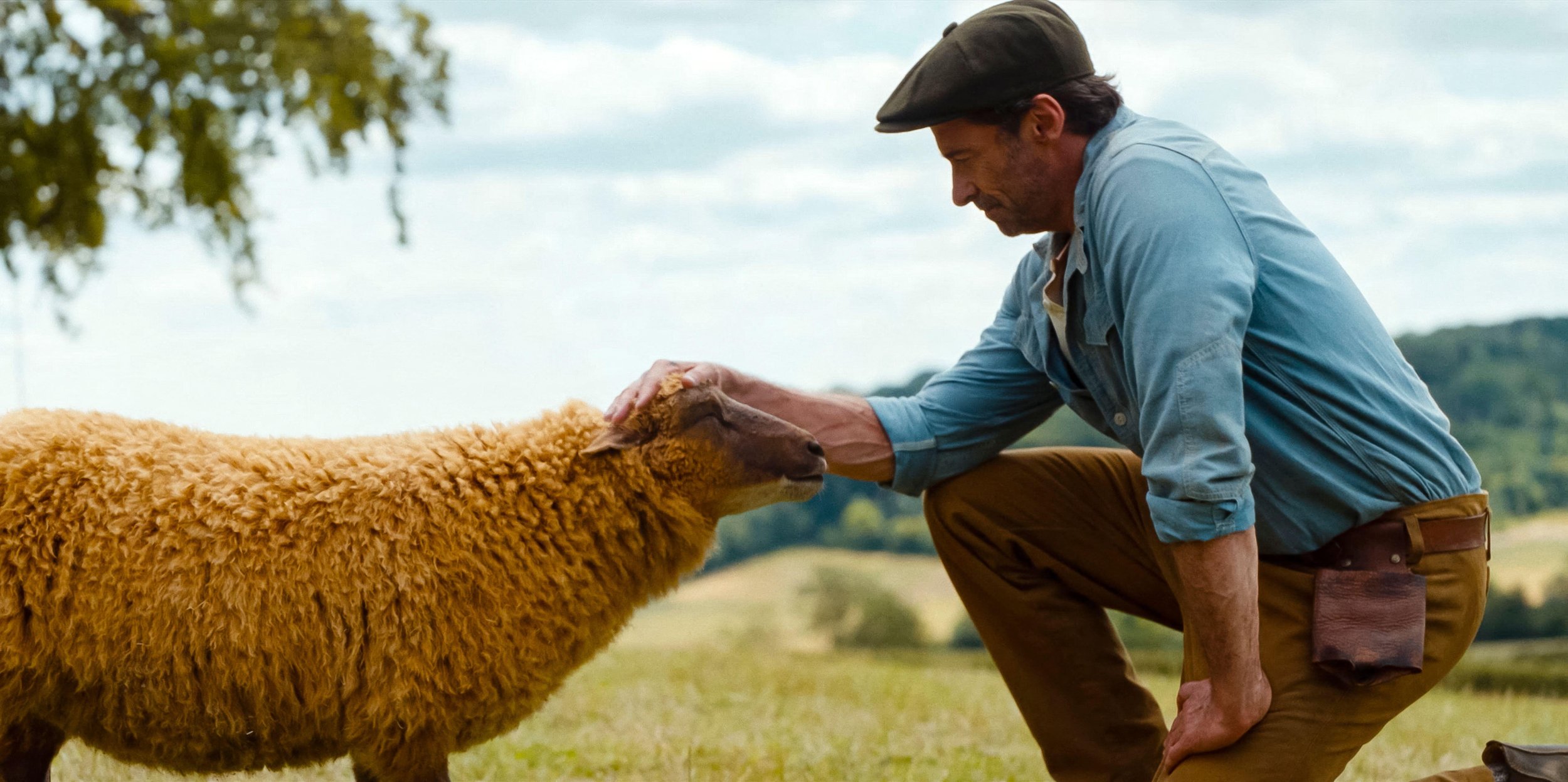 SHEEP DETECTIVES: Remembering Helps Solve Trauma