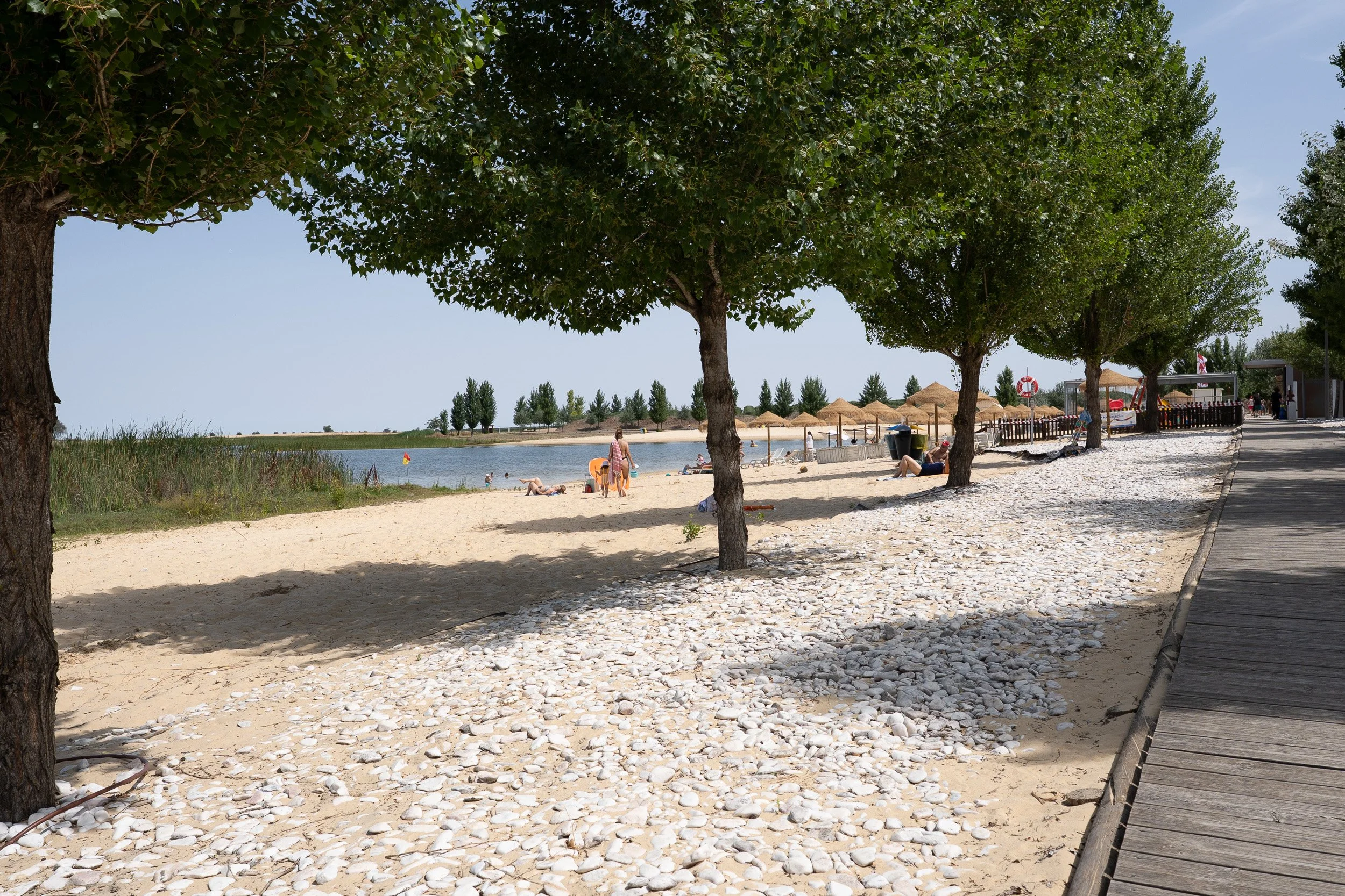 121-3.jpg